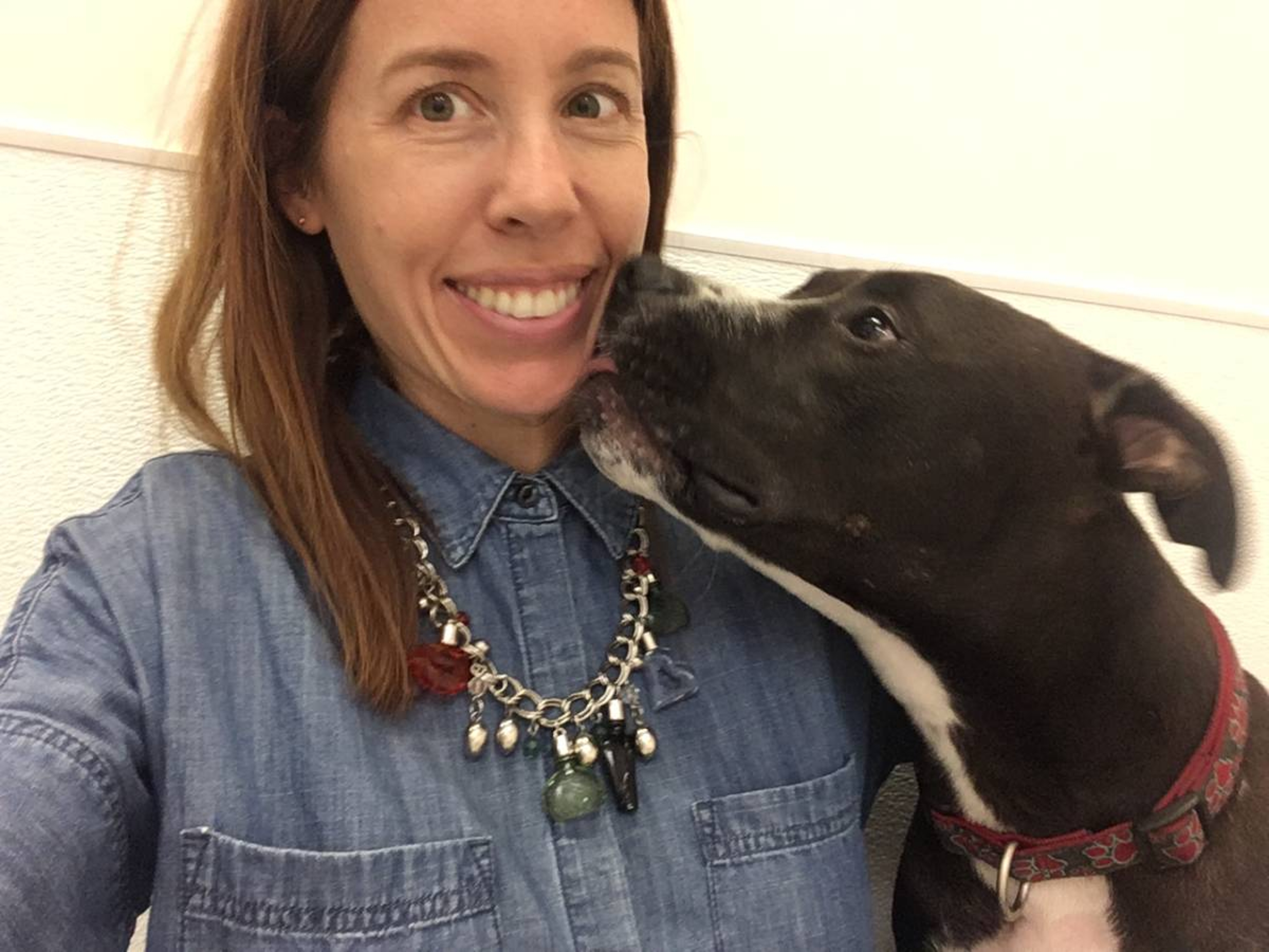 shelter animals image woman taking a selfie of her and a dog who's licking her face.