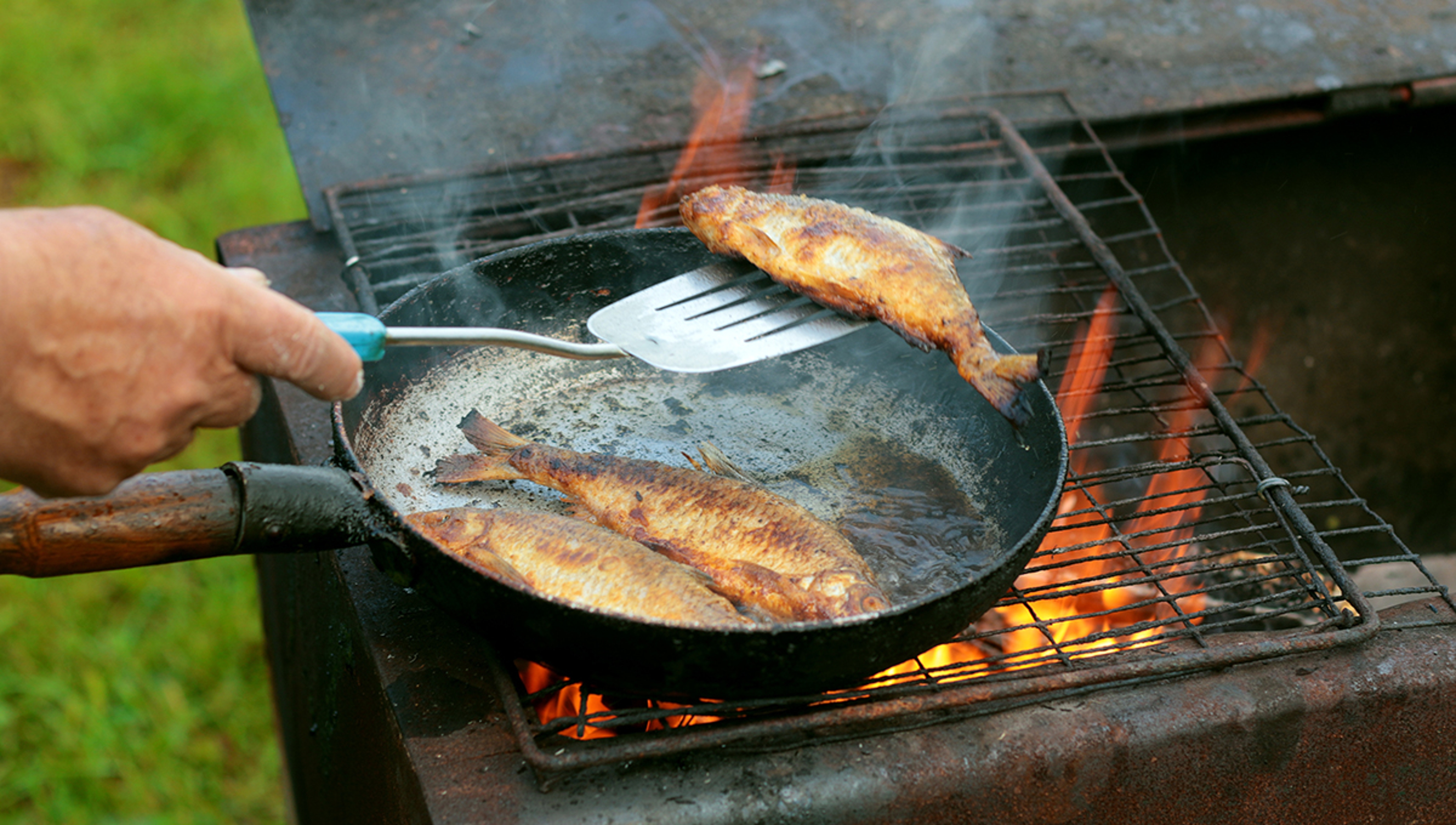 Article Cards Featured Image fish frying in oil on the fire