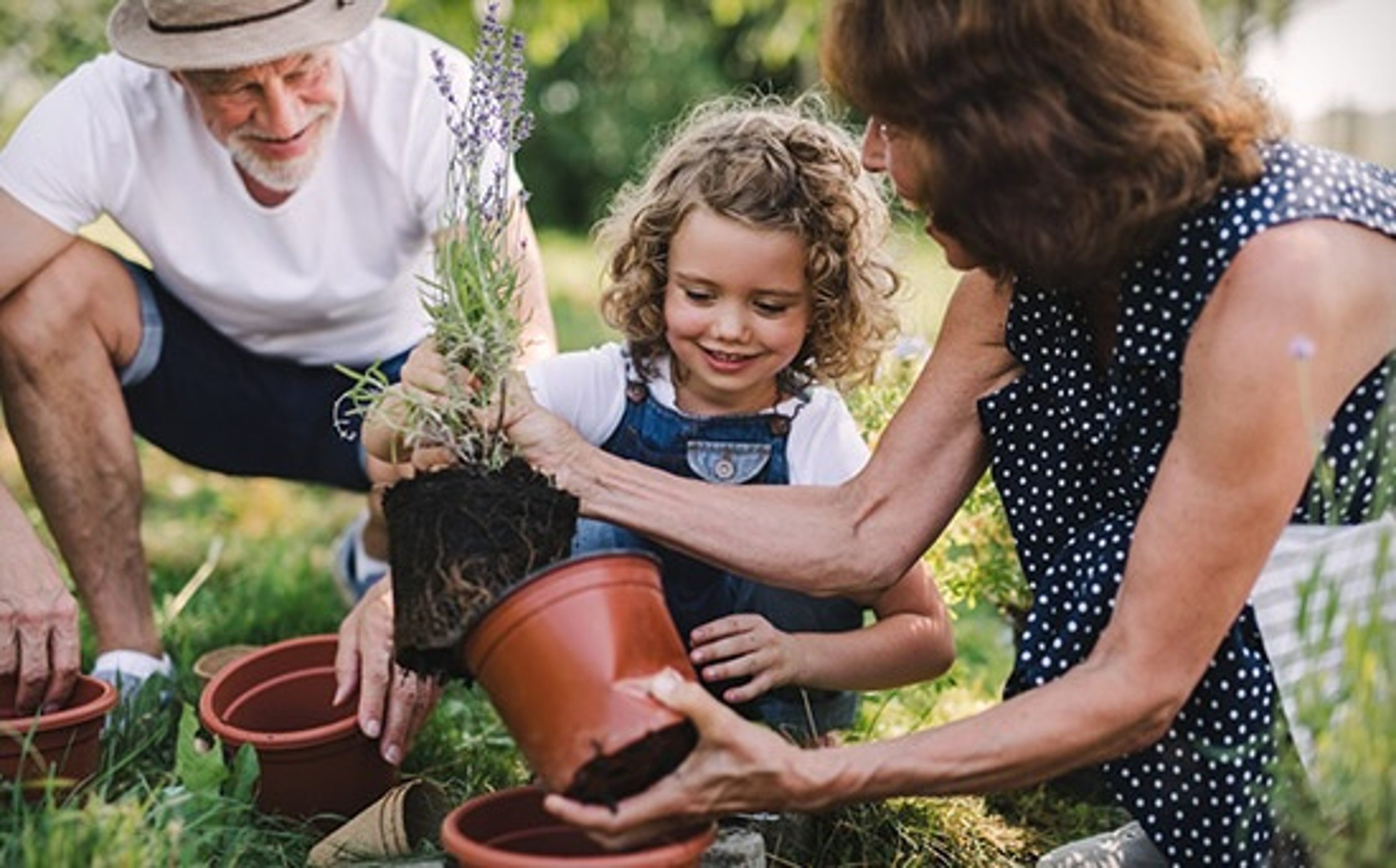 grandparents day gardening photo