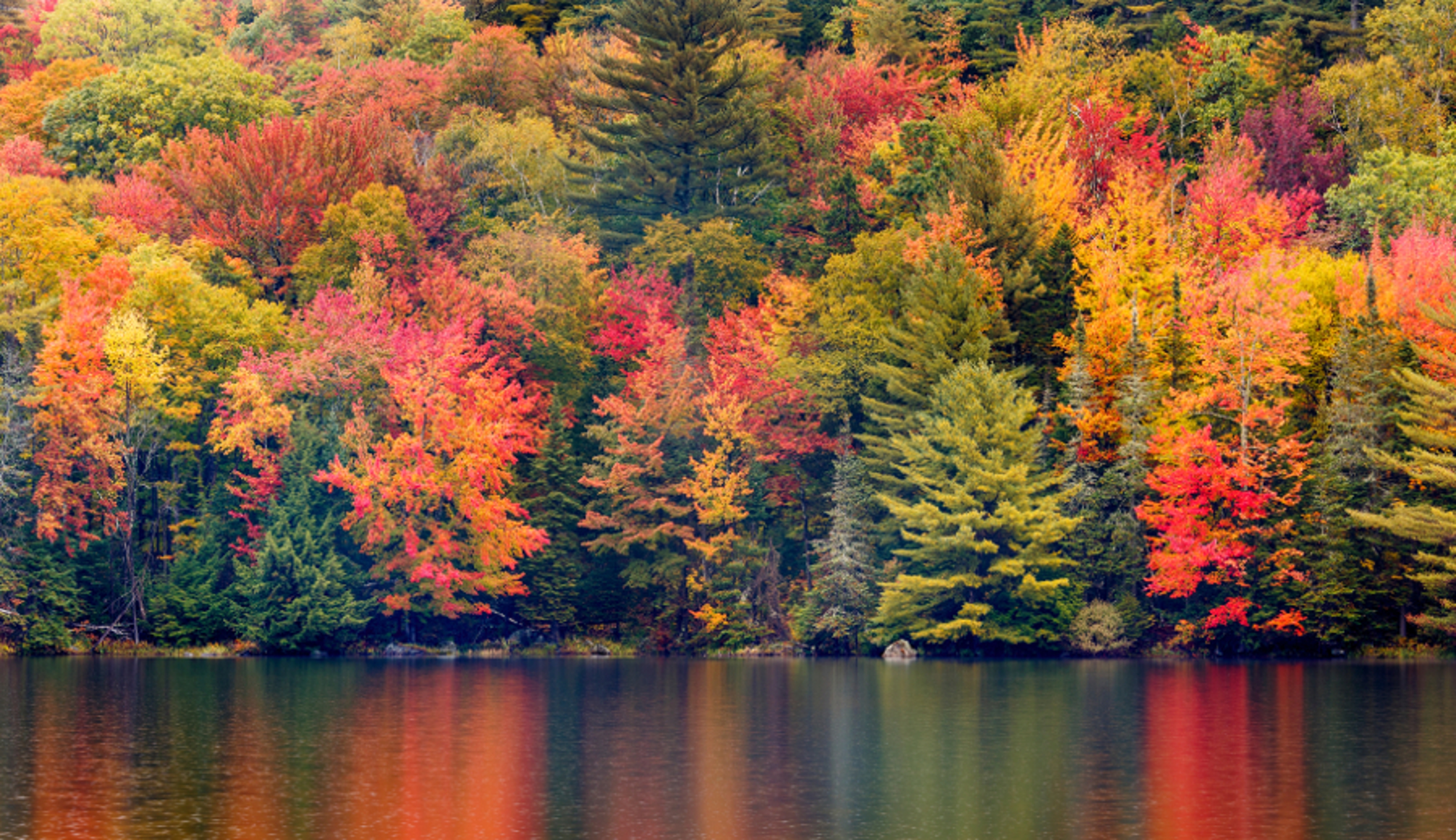 Autumn Foliage Reflecting in a New England Pond Vermont