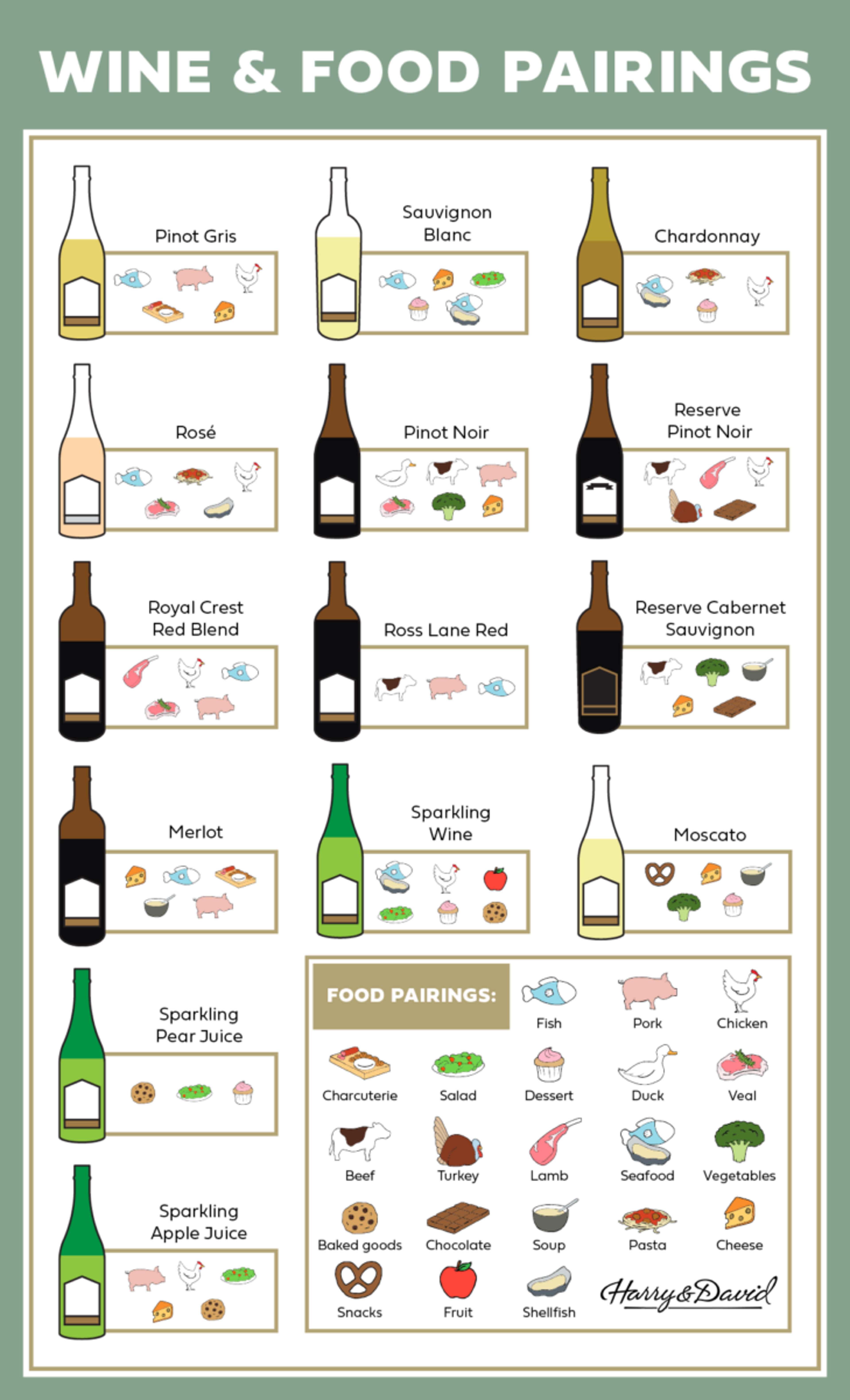 Vector graphic of wine illustrations and their pairings in a vertical infographic