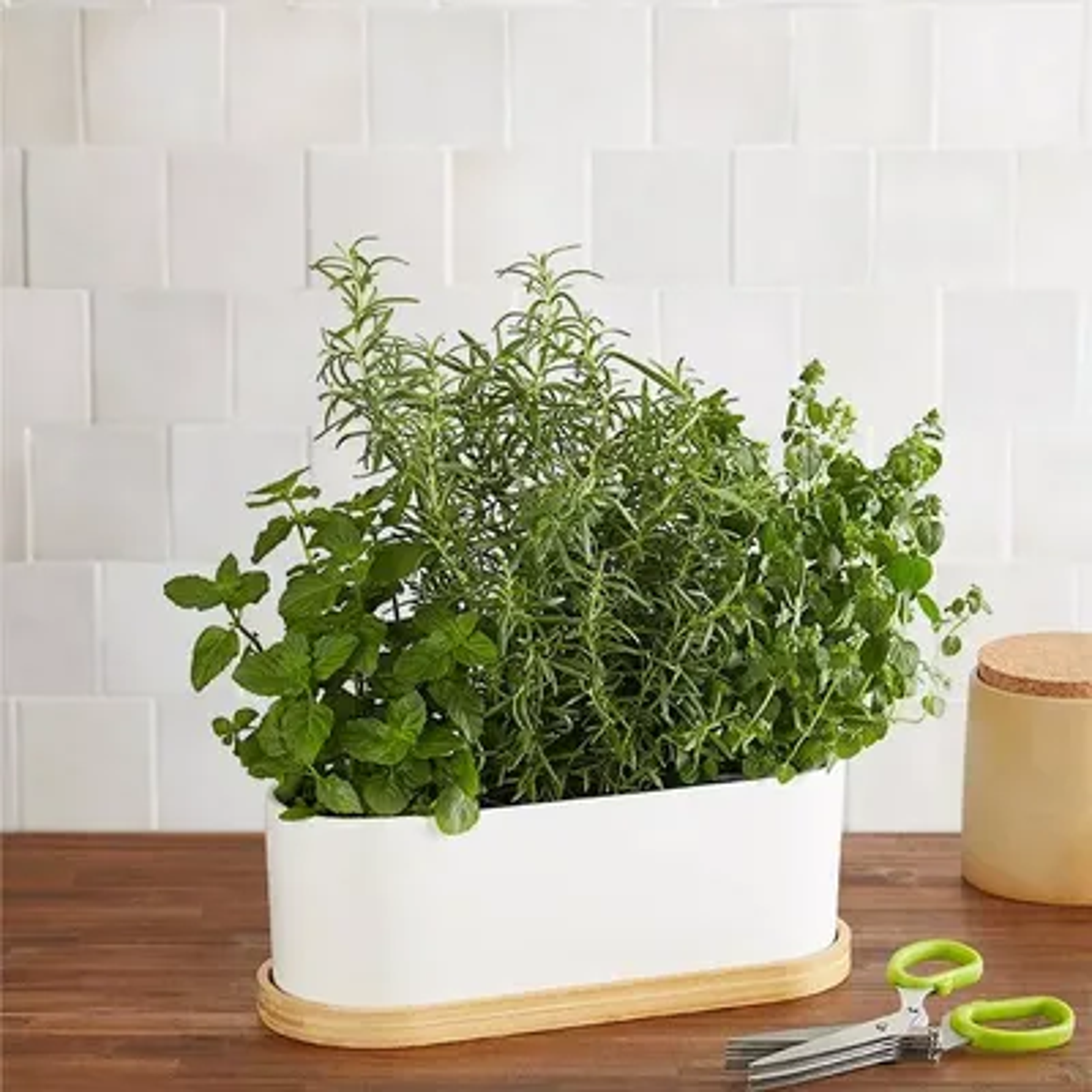 Ceramic Herb Garden