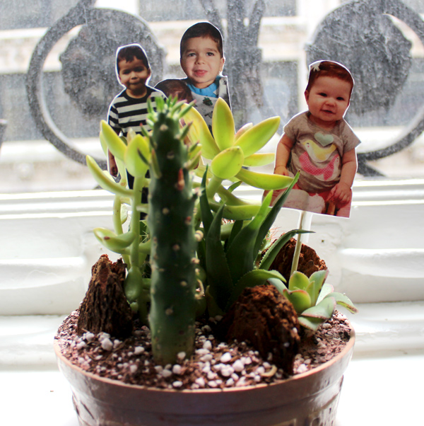 Father's Day Craft Ideas: Photo Plant for Dad | Petal Talk