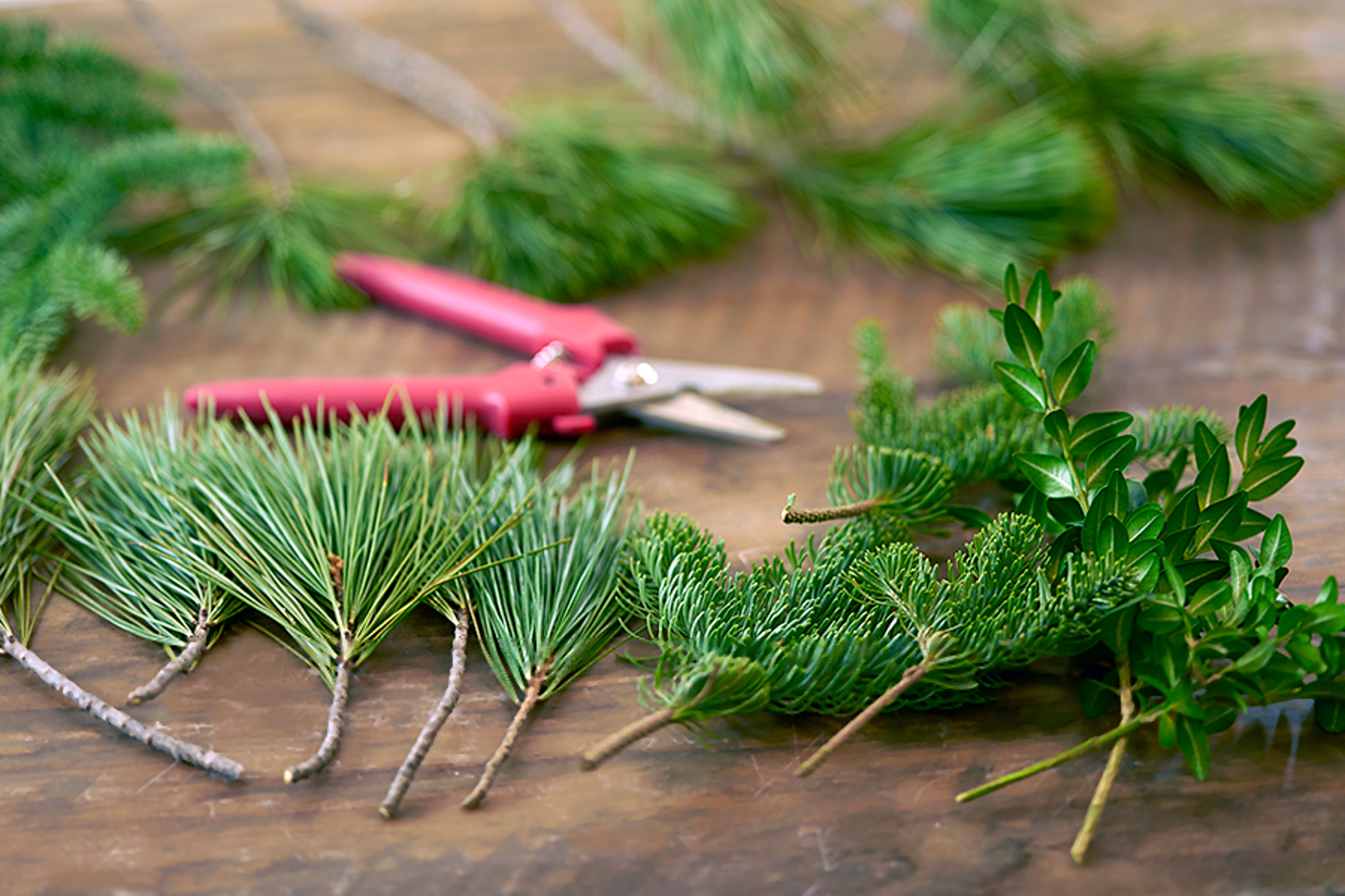 diy flower tree with cutting greens