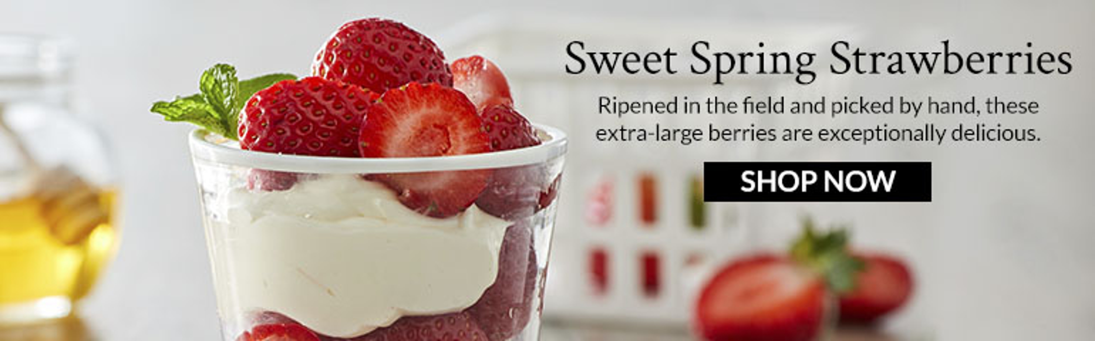 Strawberries Shop Button Banner Ad