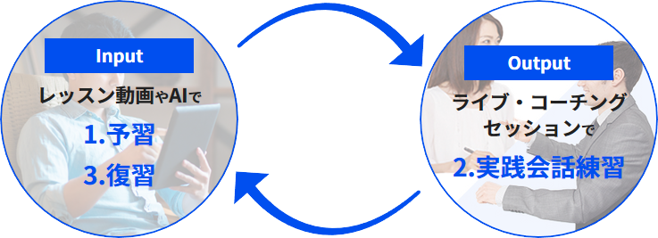 flex-input-output.png