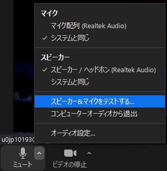 zoom-check-app.jpg