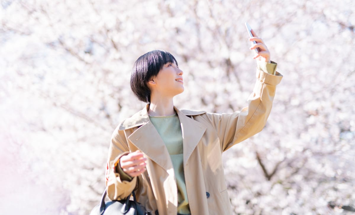 ベルリッツ 大人・社会人向け キャンペーン