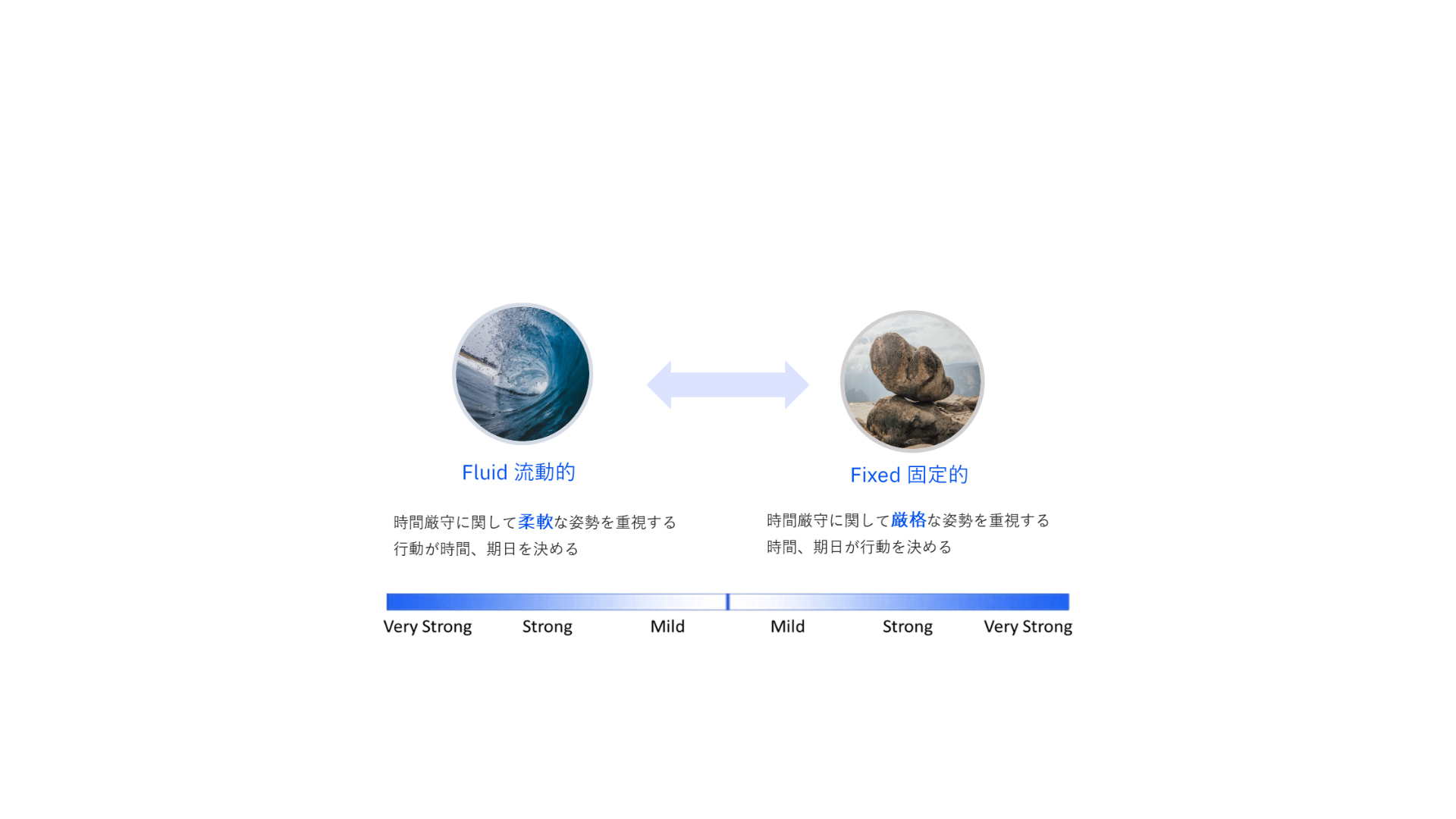 ベルリッツ　異文化理解研修　セミナー