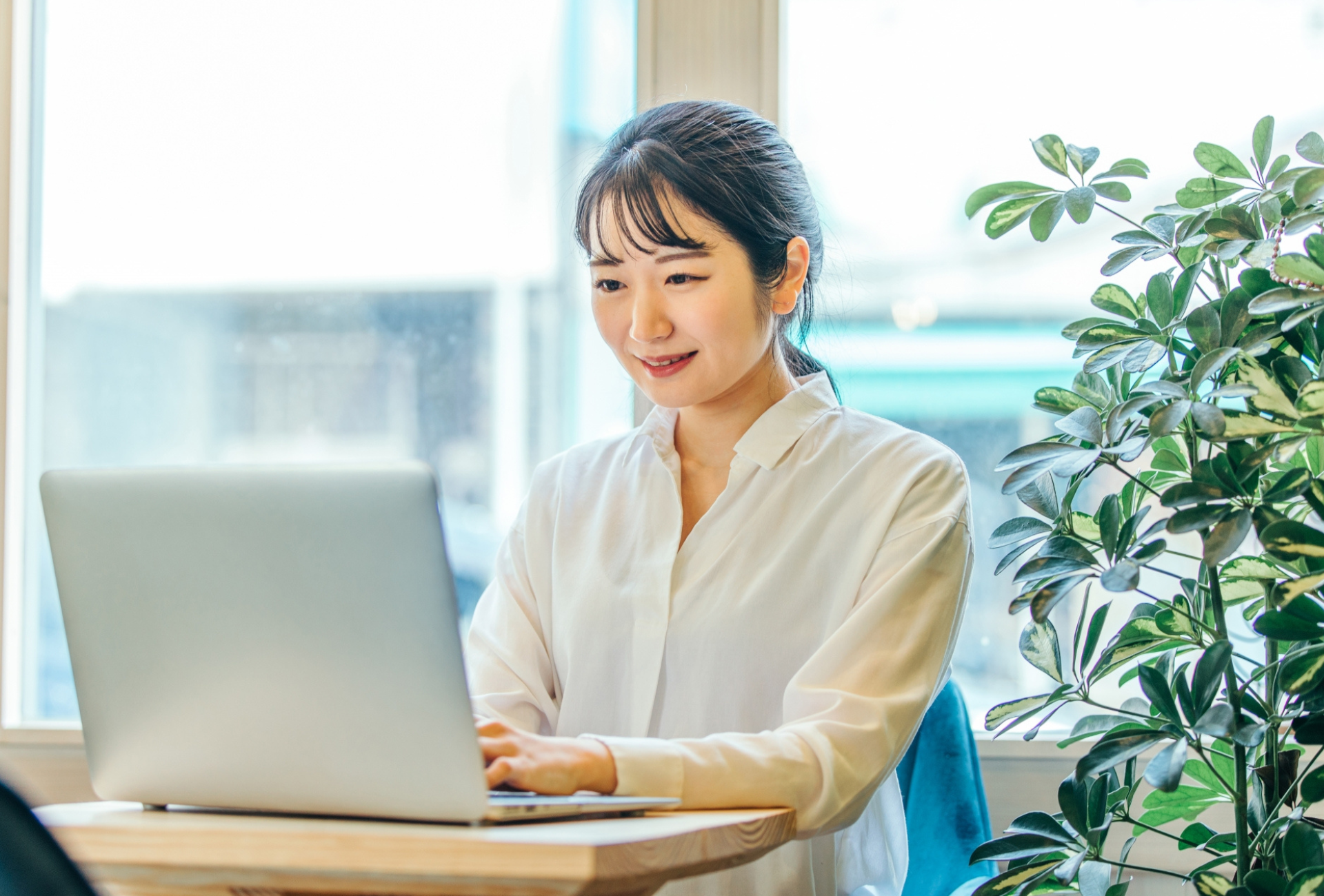 ベルリッツ Berlitz Flex KV