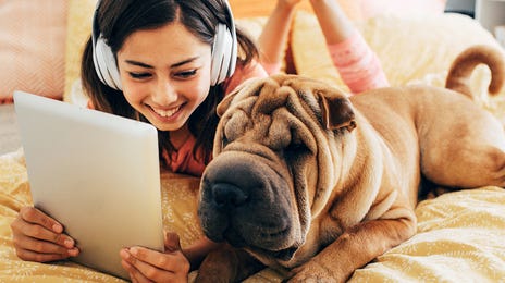 ベルリッツ ティーンズ オンライン 受講