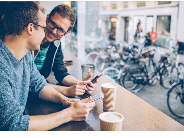 ベルリッツ オランダ語 異文化理解