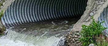 Environmental Standards Collection.jpg