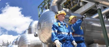 Petroleum Standards Collection.jpg