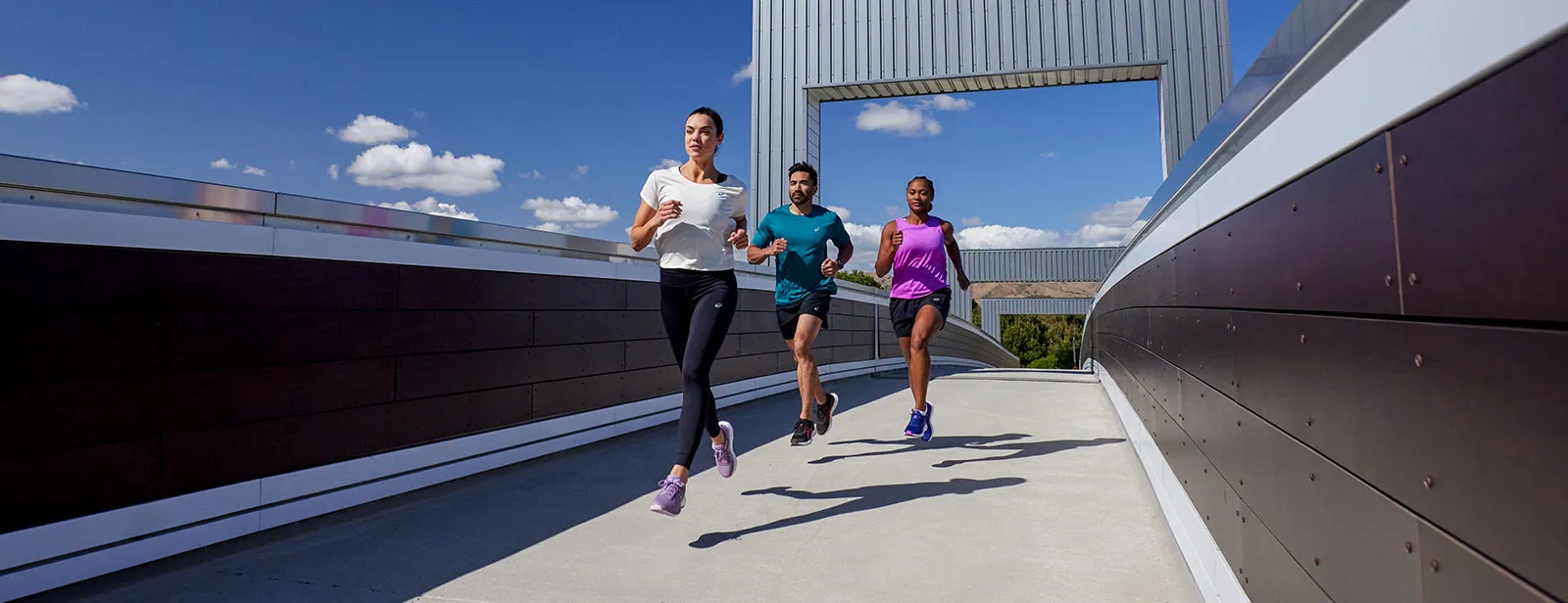 Triathlon training plan for beginners.