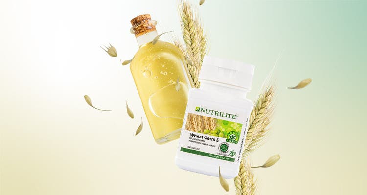 Manfaat Wheat Germ (Minyak Biji Gandum) 