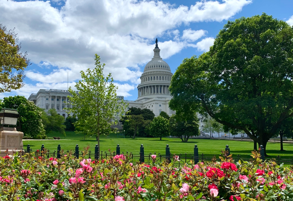 US_capitol_flowers-US.png