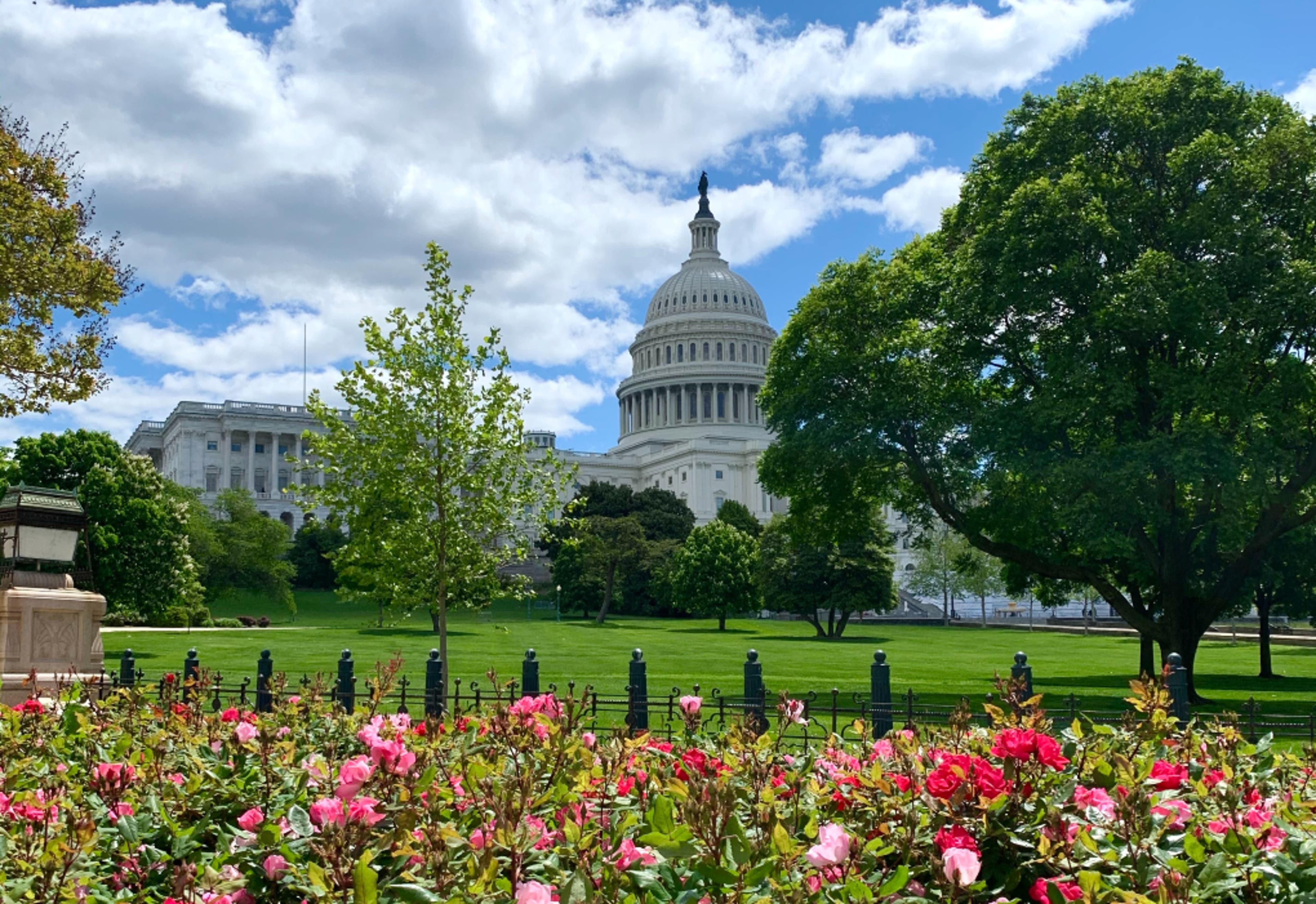 US_capitol_flowers-US.png