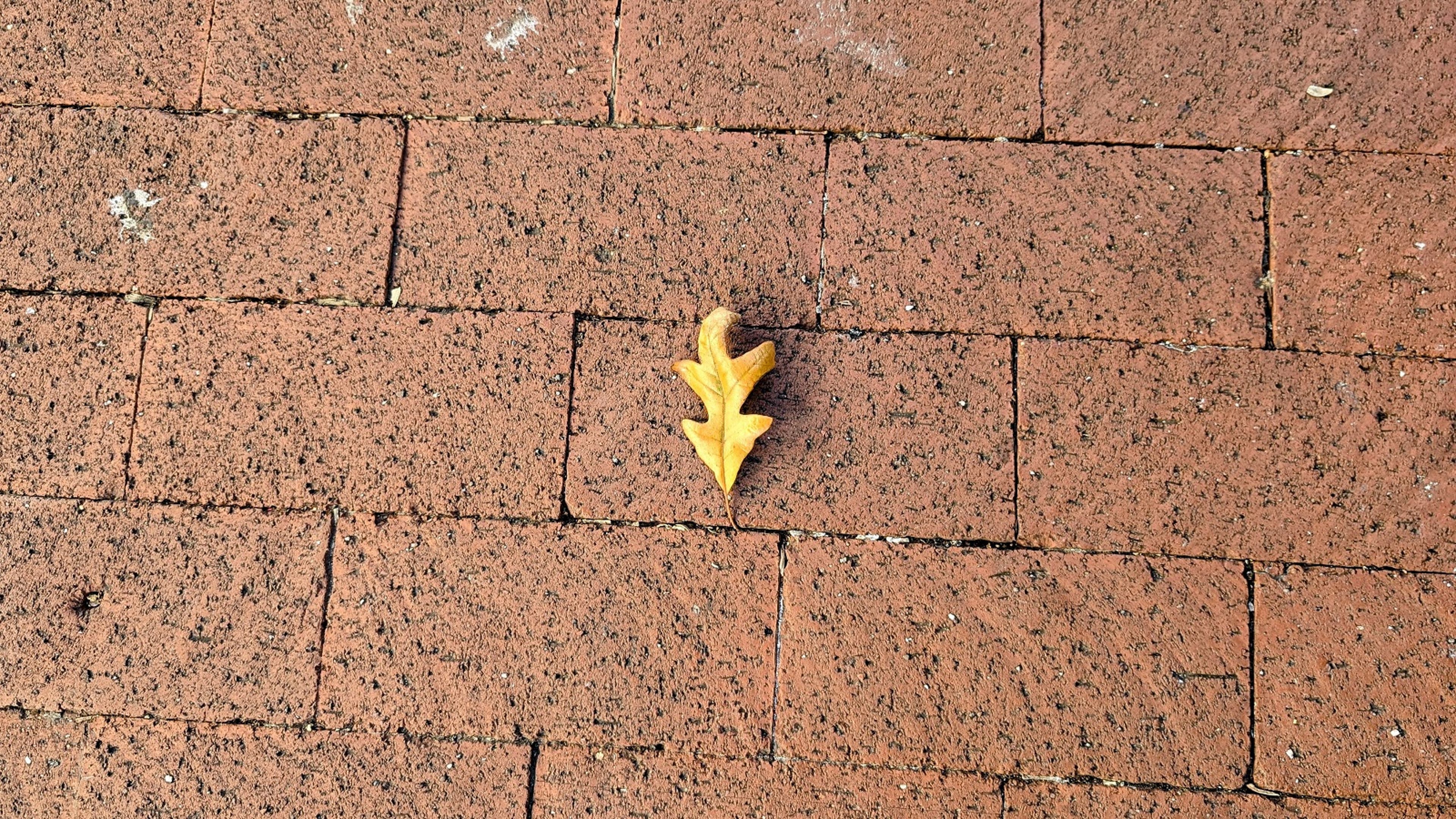 cobun-zweifel-keegan-DC View 10.18.24.jpg