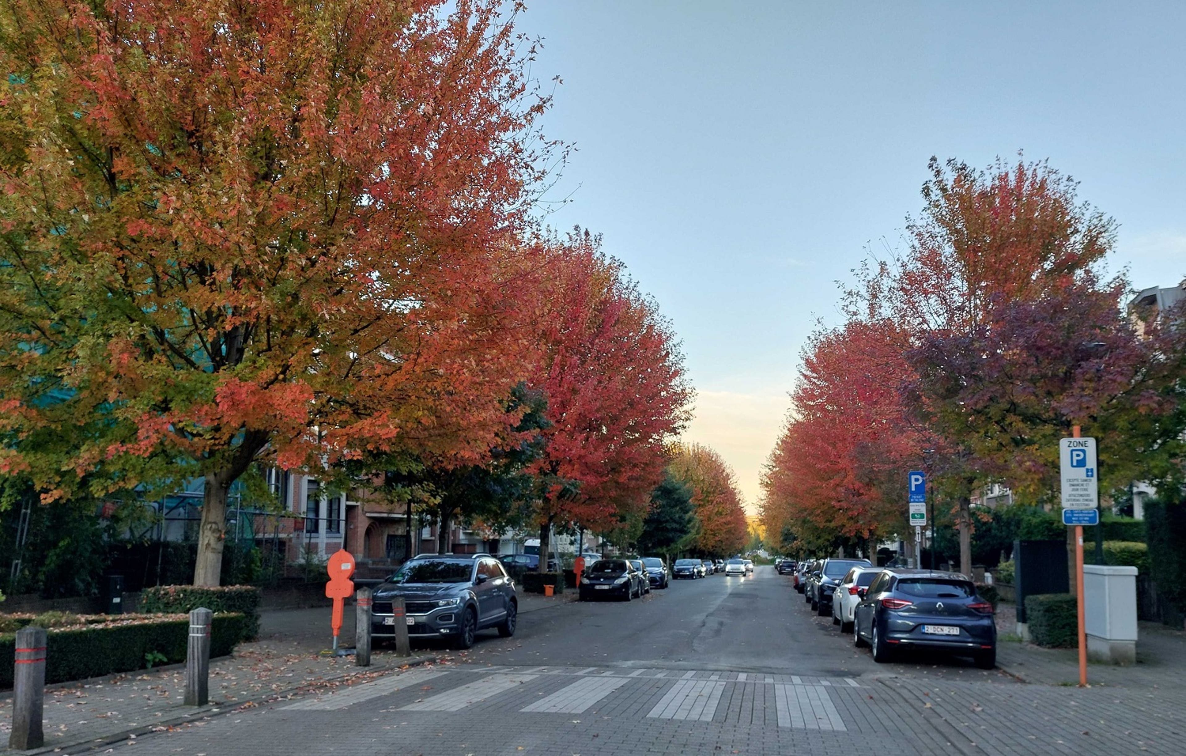 street-with-cars-in-fall-brussels-ir-171024.jpg