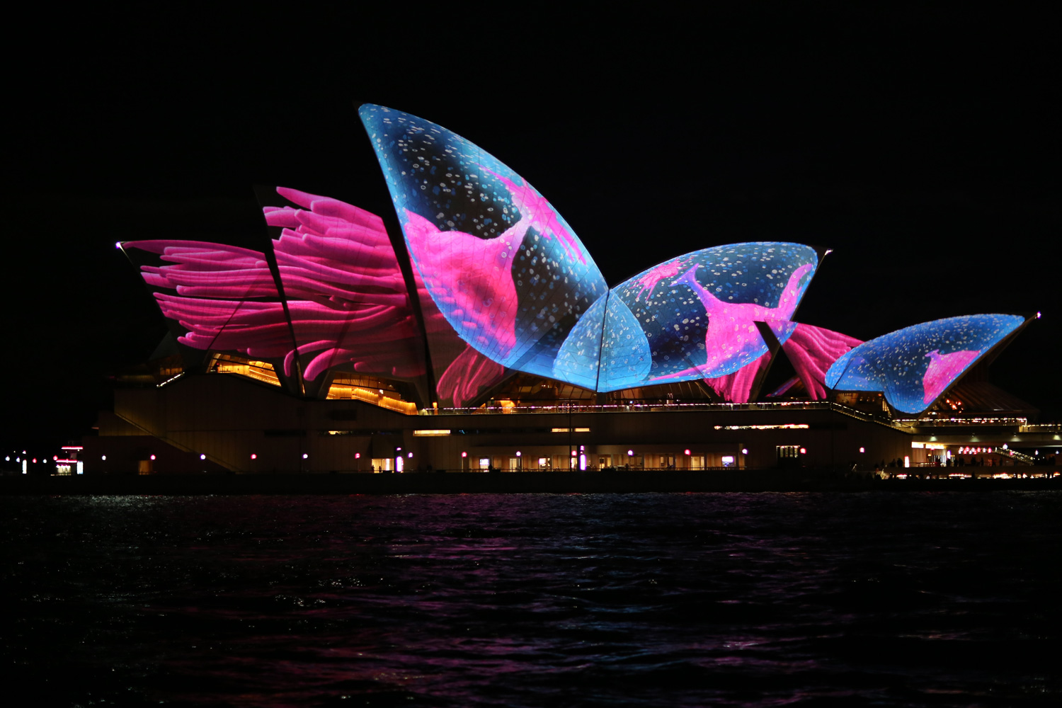 opera-house-neon-lights-sydney-australia-apac-0042.jpg