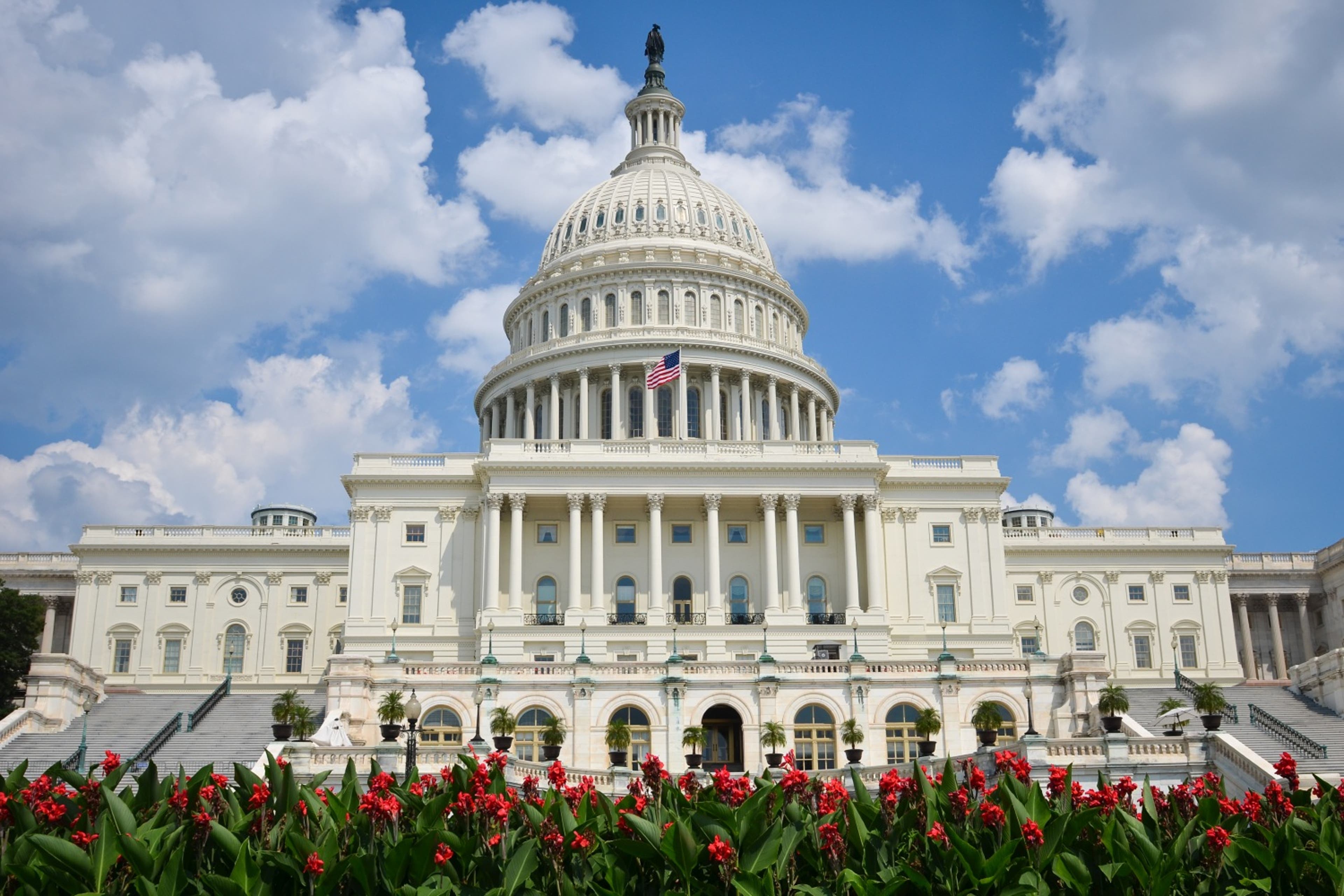 capitol-building-flowers-US-21524.jpg