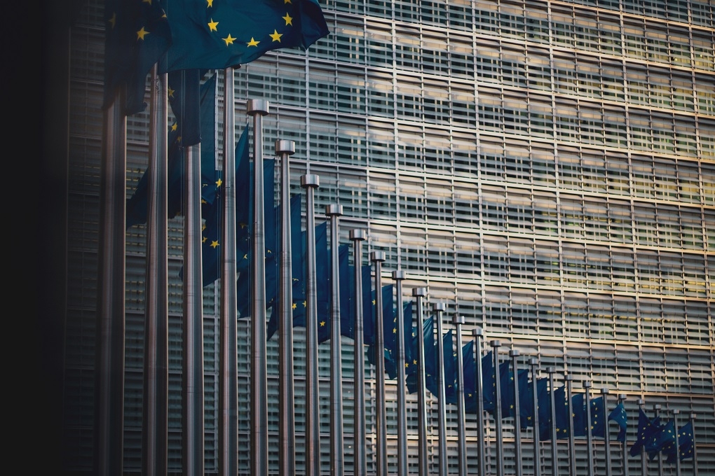 EU-flags-lined-up-Europe.jpg