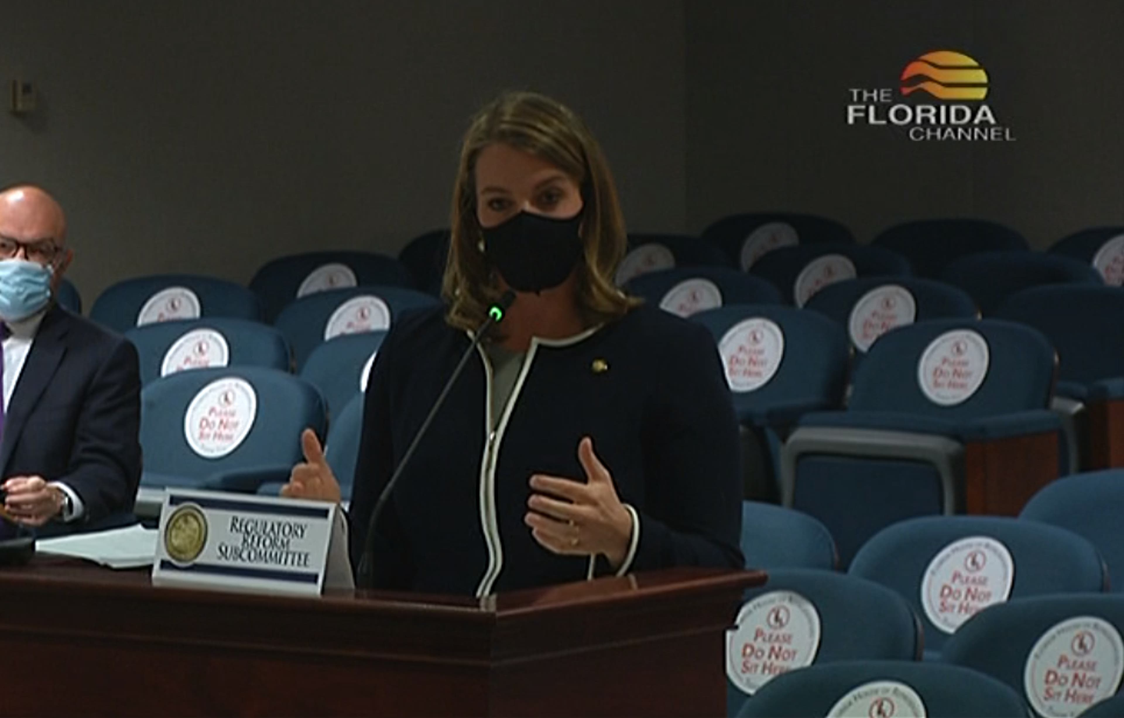 FL-hearing-subcommittee.png