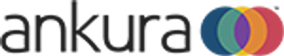 Ankura Consulting Group, LLC