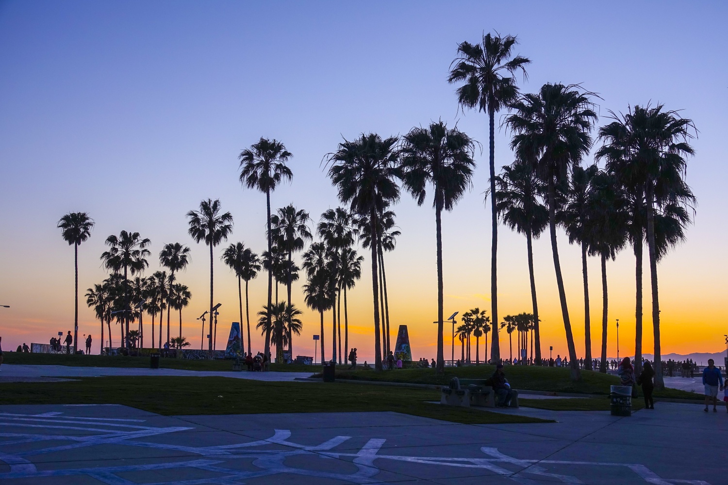 california-dusk-palm-trees-us-033125.jpg