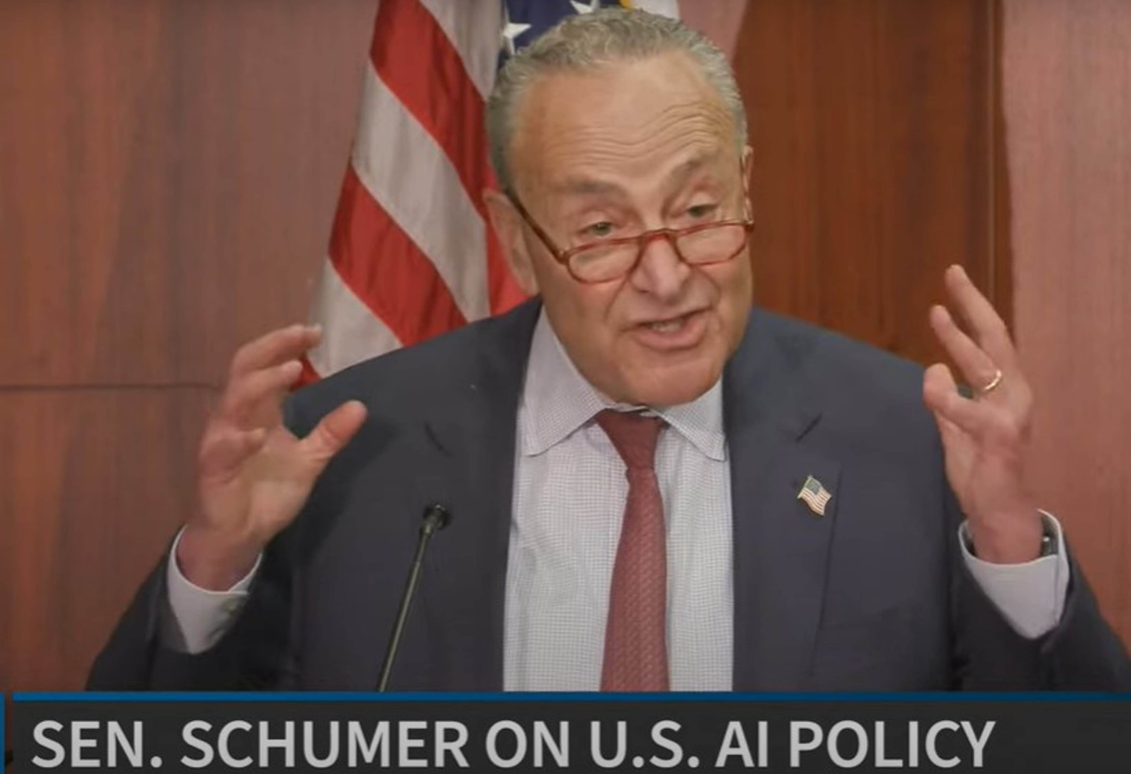 Schumer-AI.jpg