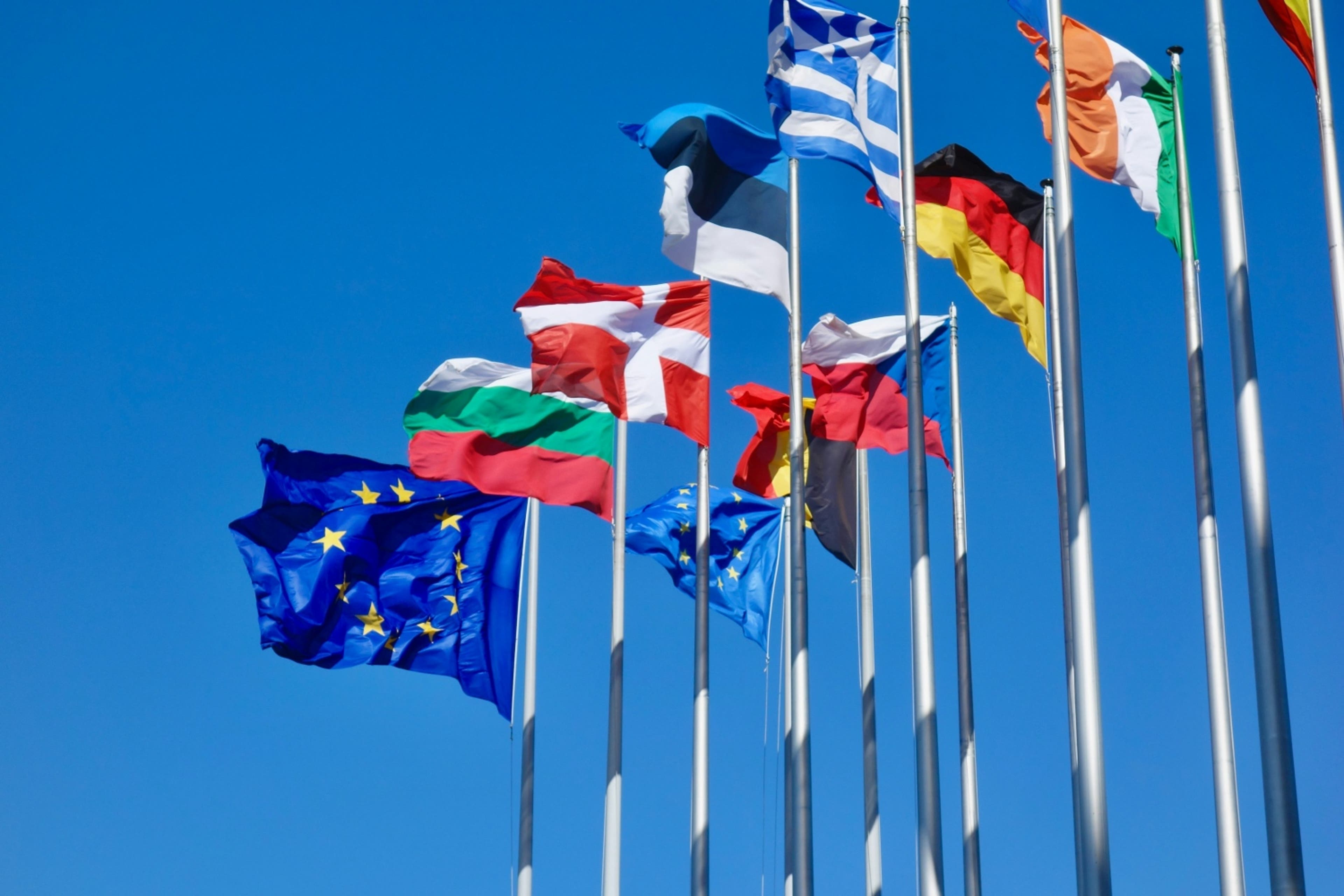 flags-of-european-union-EU.jpg