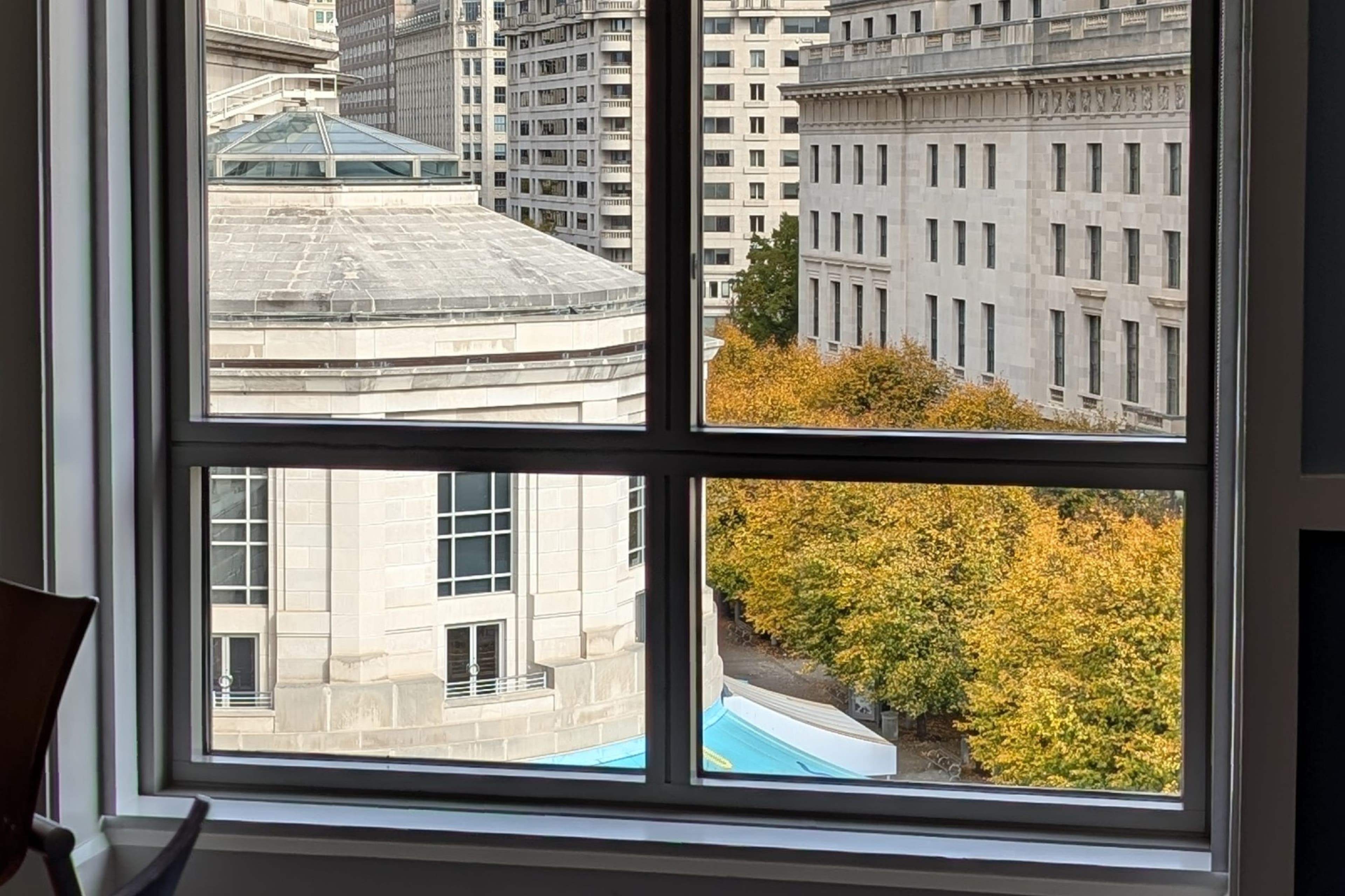 window-fall-cobunzweifelkeegan-DC View-11.1.24.jpg