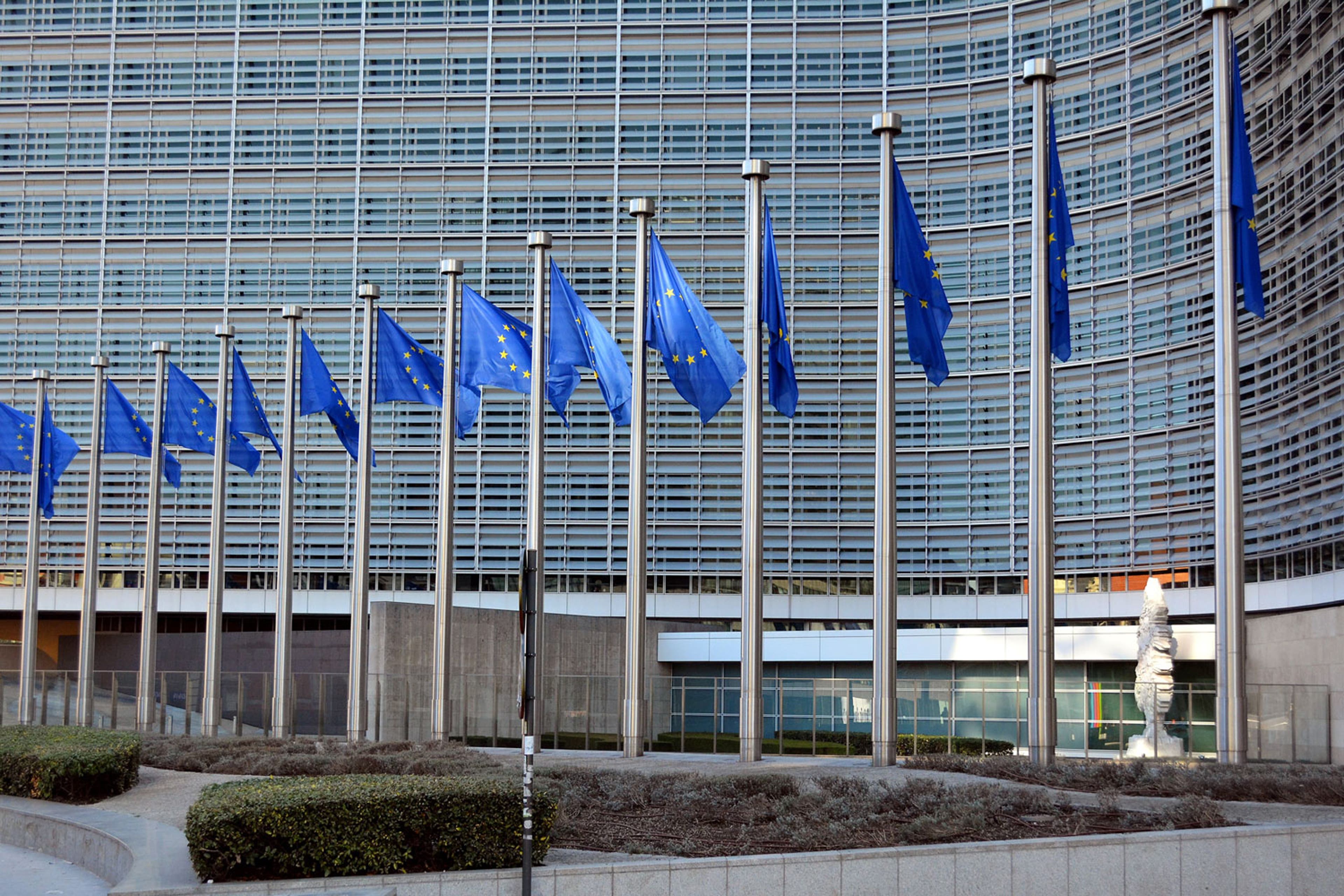 line-eu-flags-brussels-europe-0085.jpg