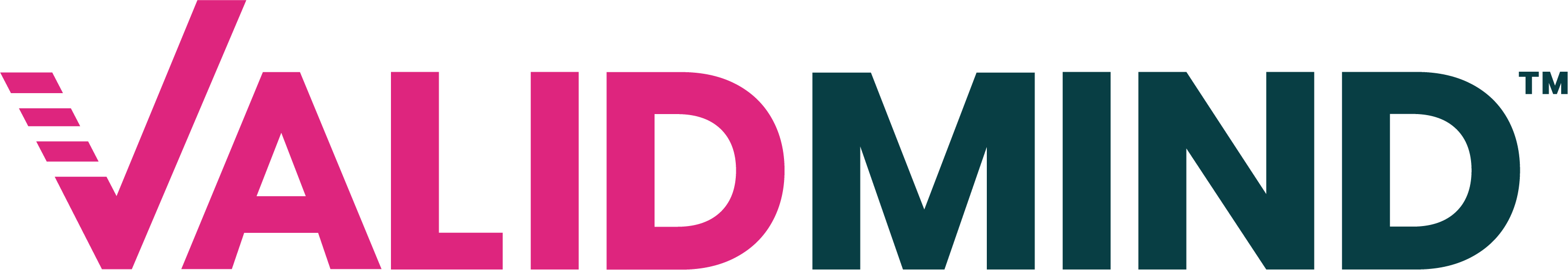 ValidMind