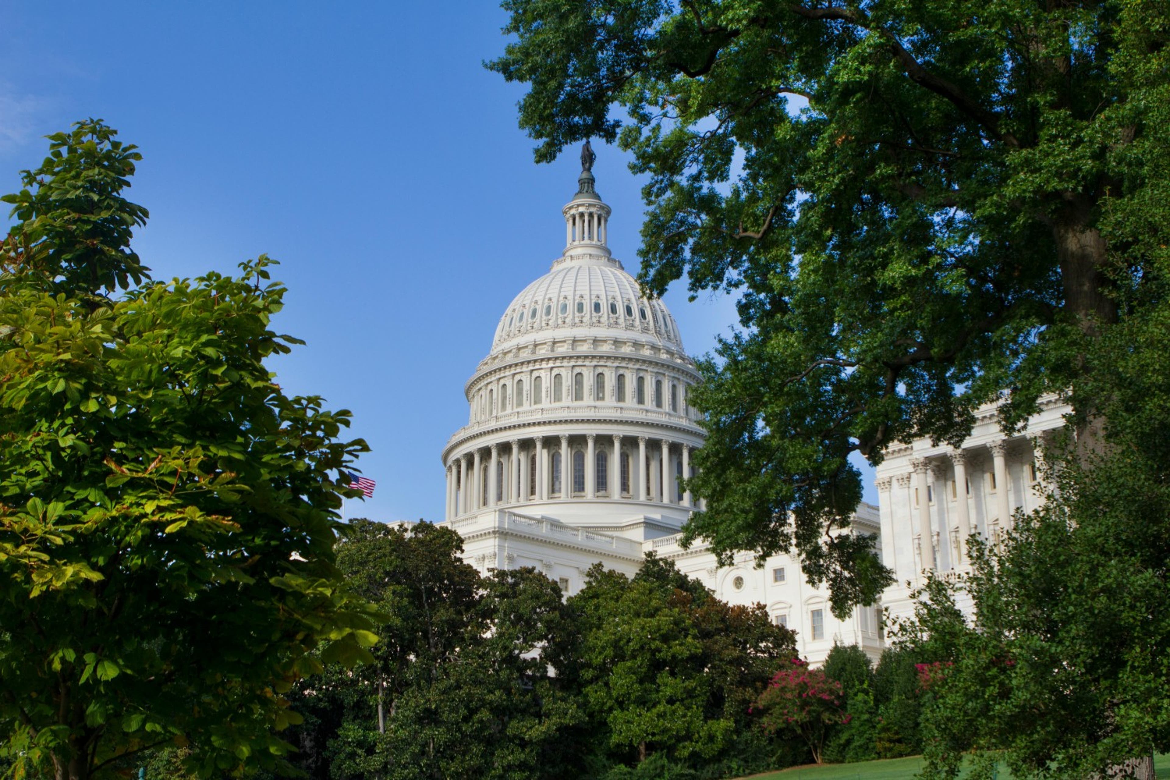 capitol-building-through-trees-US-062024.jpg
