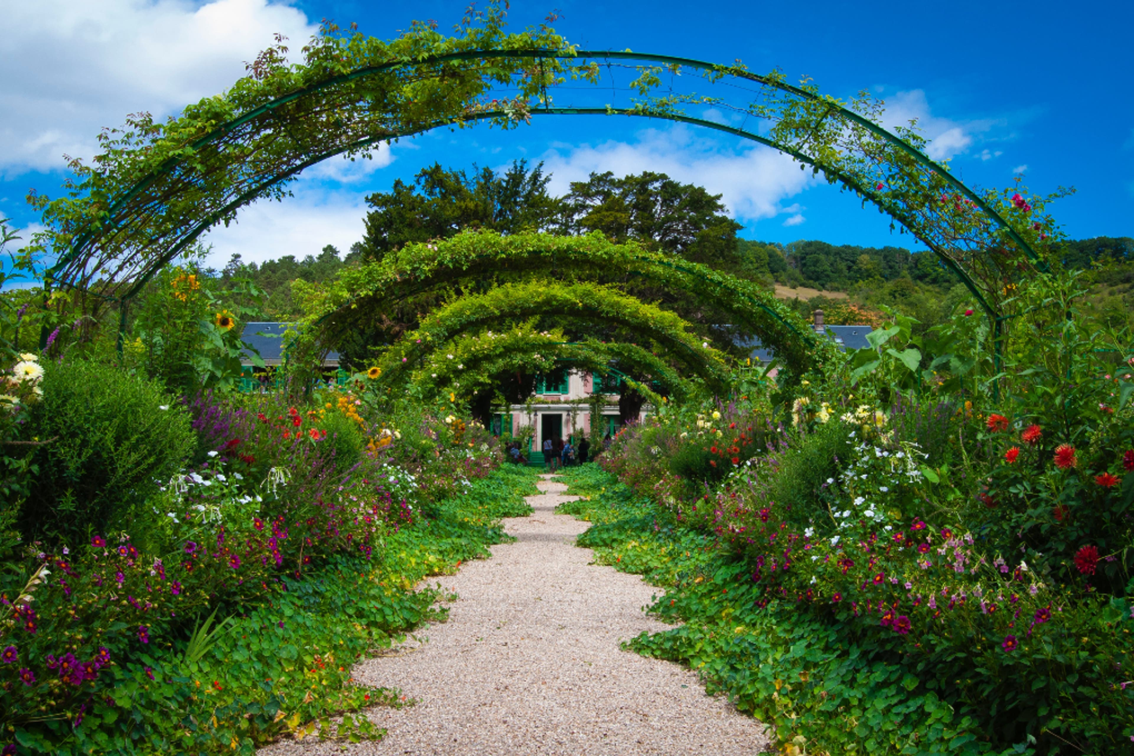 garden-arches-plants-other.png