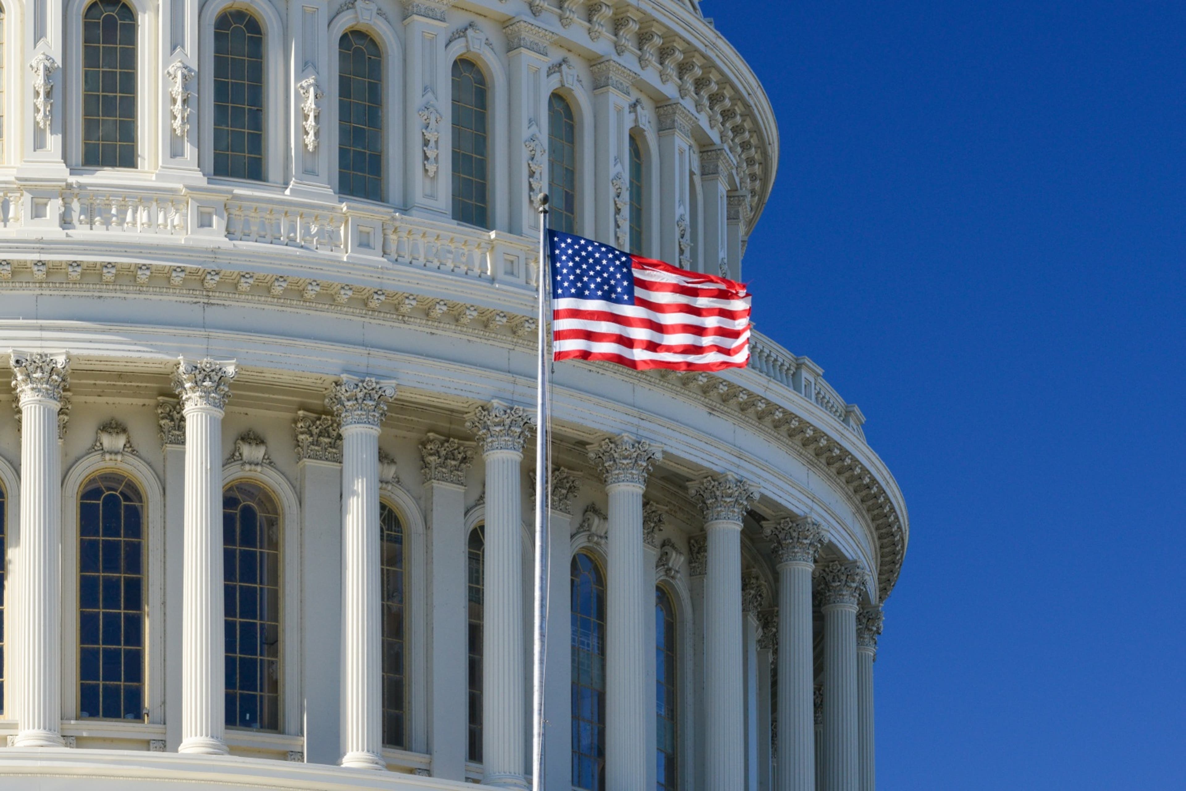 US-flag-capitol-building-US-21524.jpg