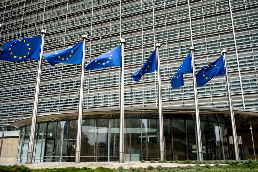 European Commission delivers draft high-risk AI guidelines after delays ...