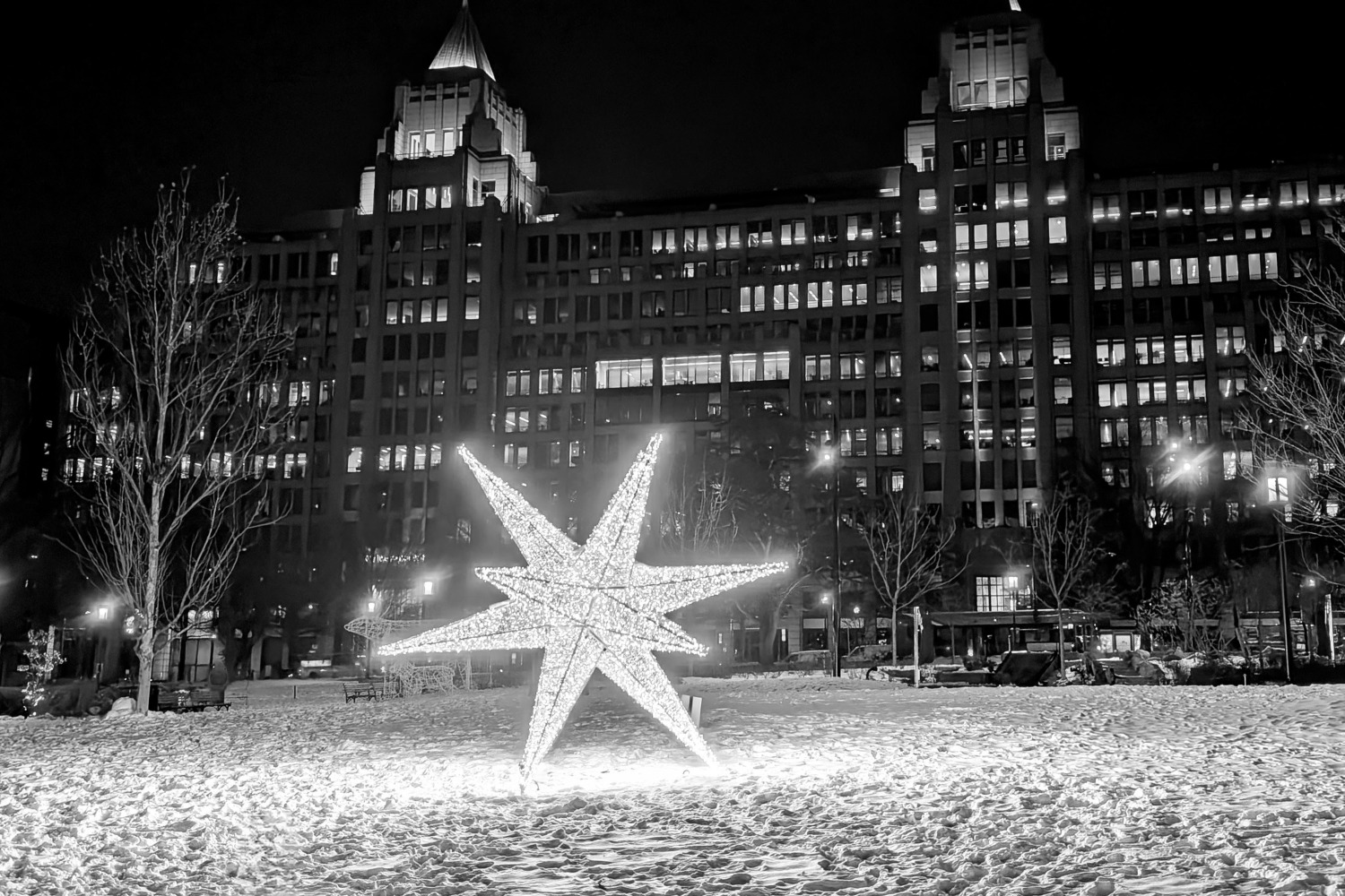 black-white-star-cobunzweifelkeegan-DC View-1.10.2025.jpg