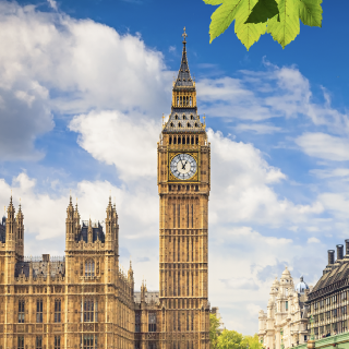 Renew membership circled in red on a calendar