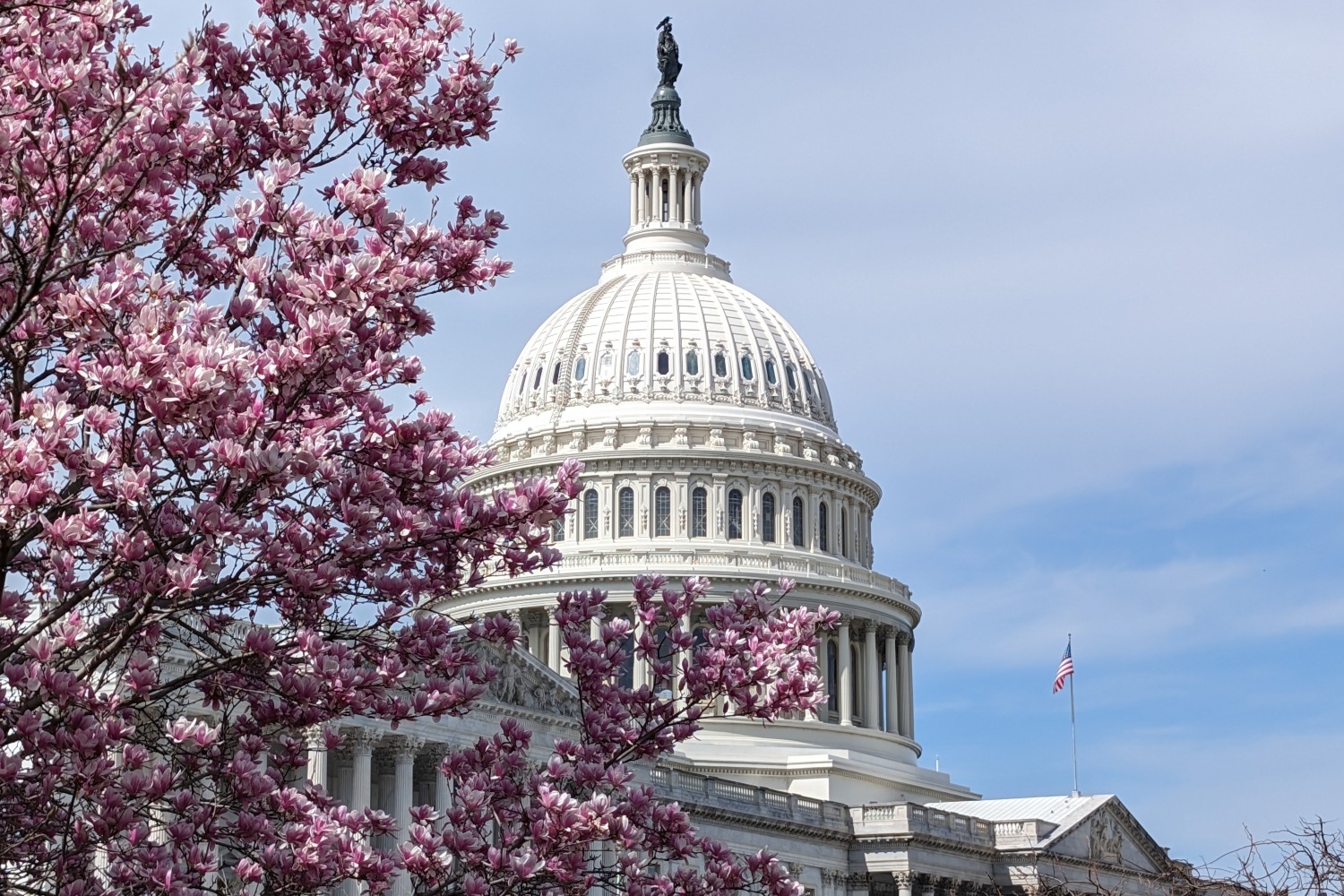 A view from DC: US House ready to pass data broker bill | IAPP