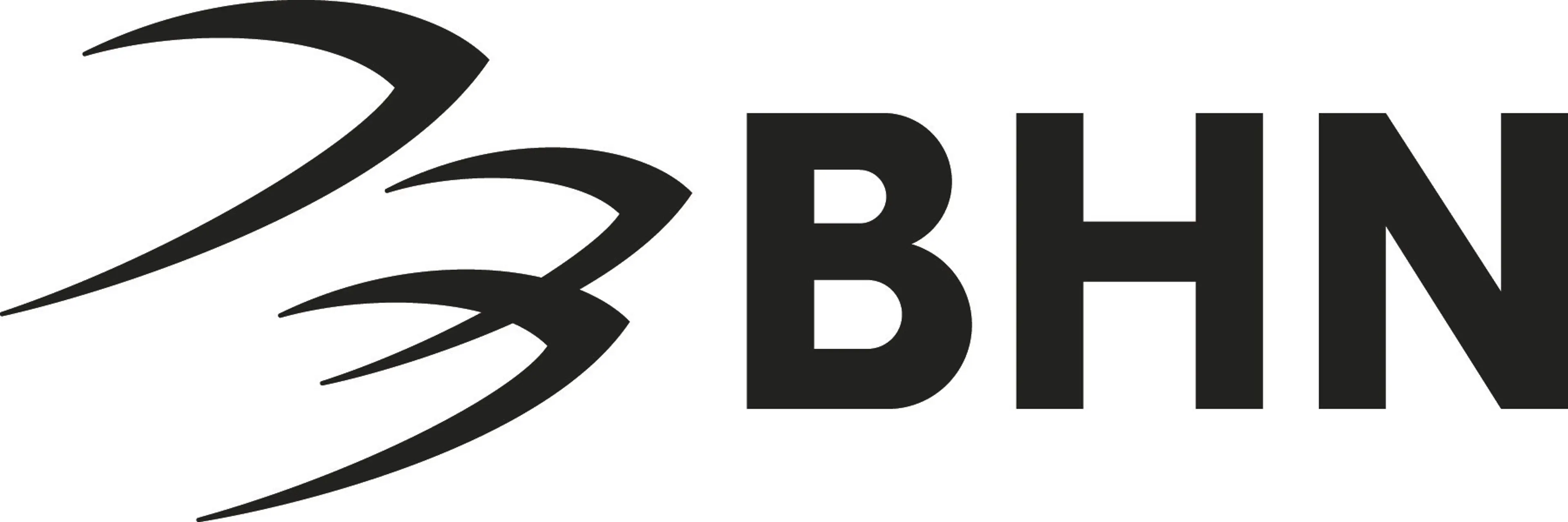 Blackhawk Network Holding logo