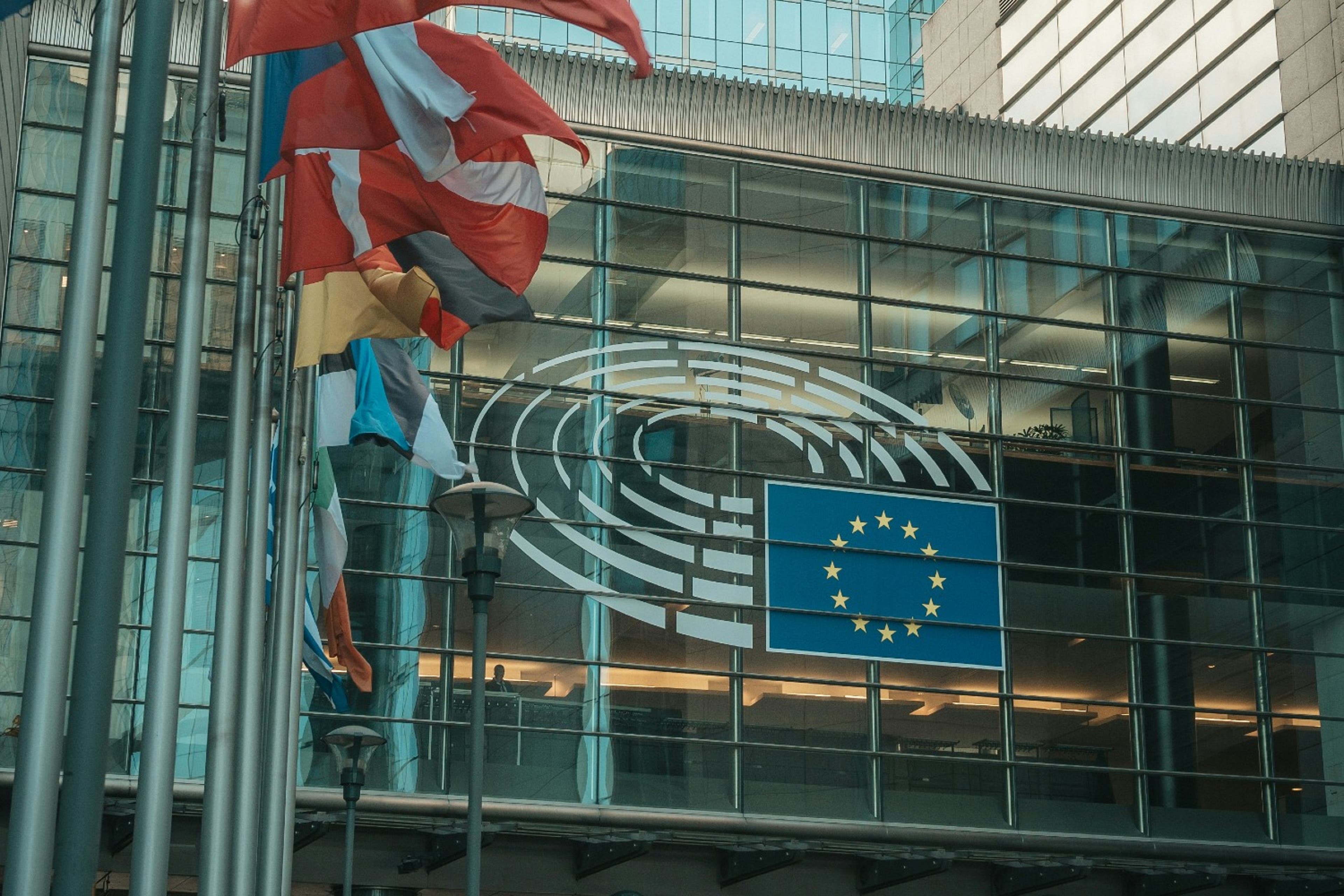 eu-parliament-flags-logo-EU-062524.jpg