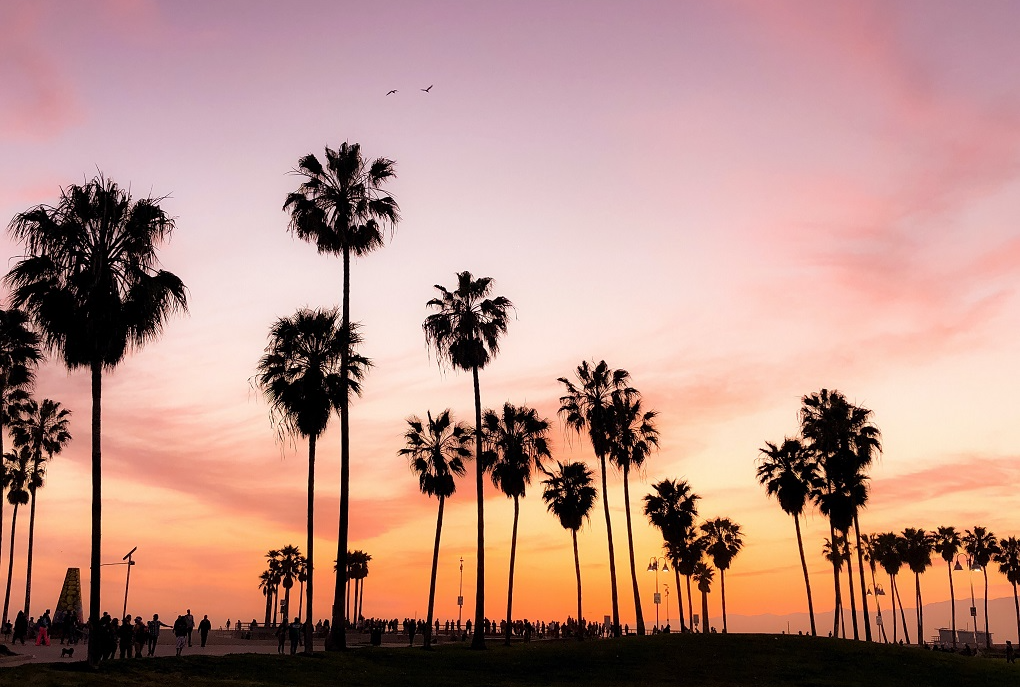 sunset-palm-trees-california-US.png