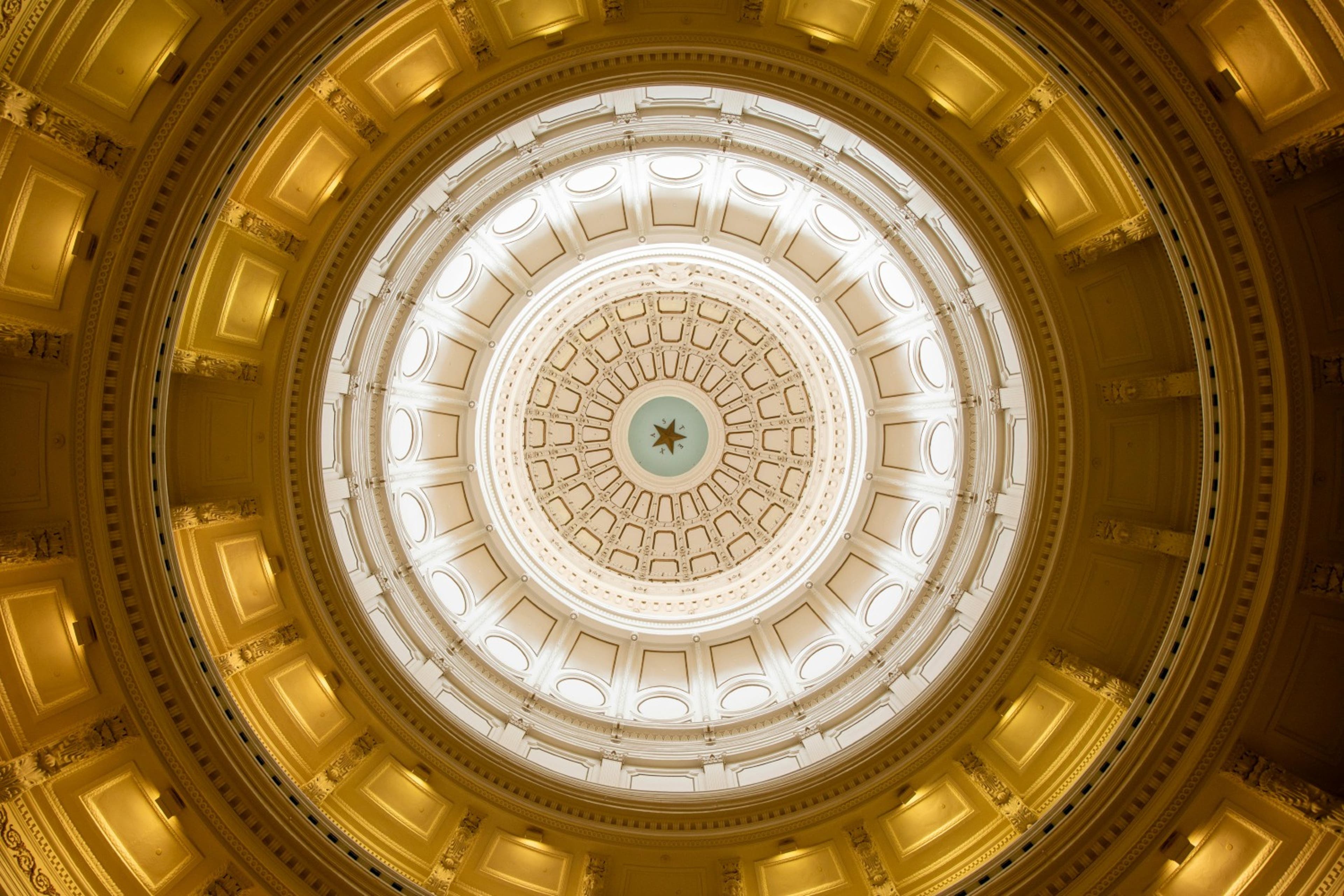 texas-roof-capitol-US-082024.jpg