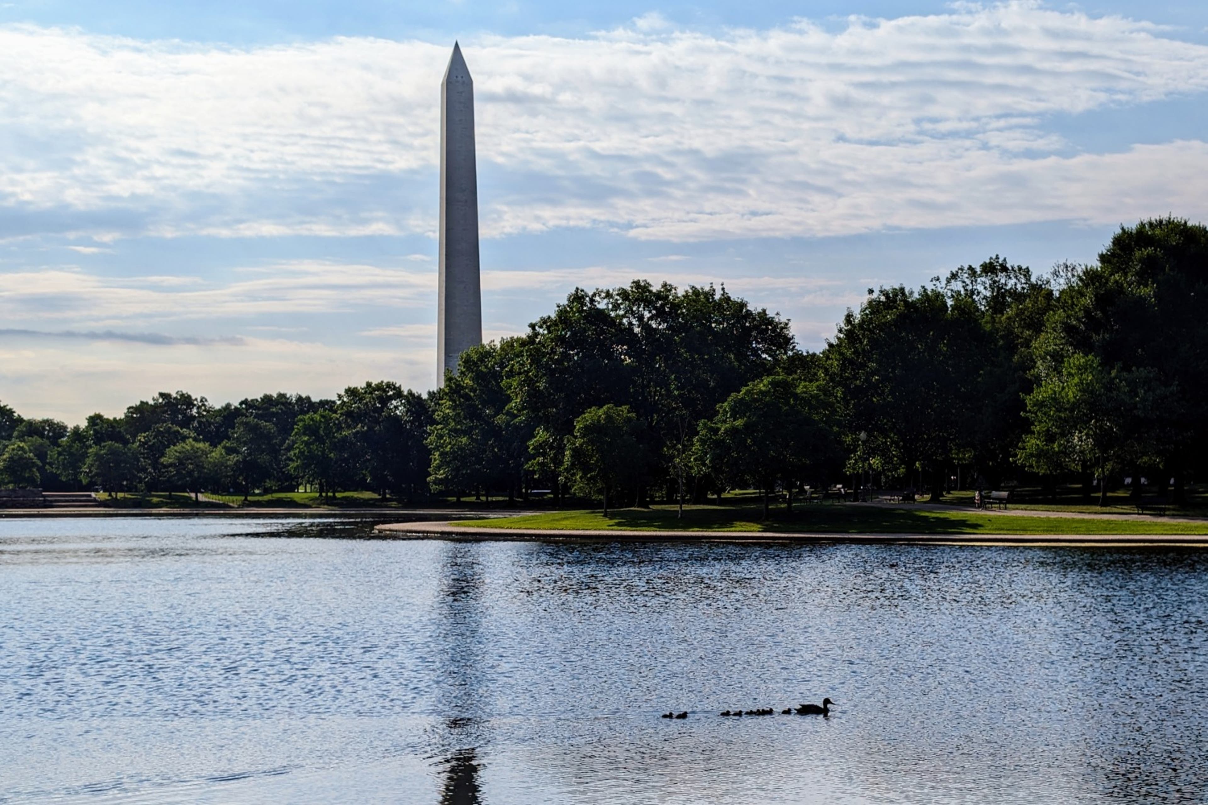 washington-monument-ducks-cobunzweifelkeegan-DC View-6.21.24.jpg