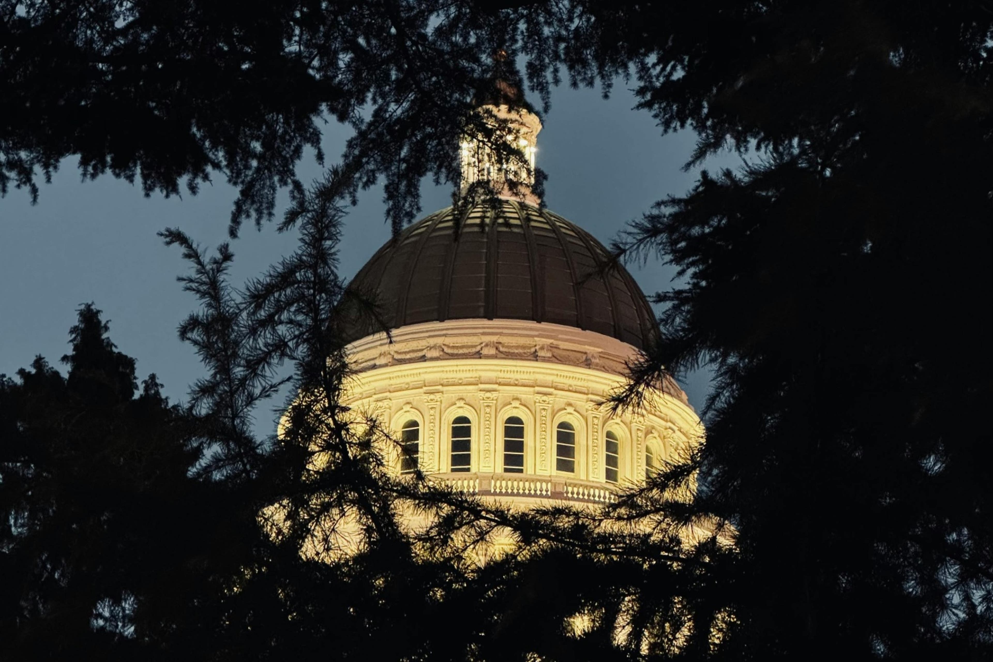 california-capitol-trees-us-093024.jpg