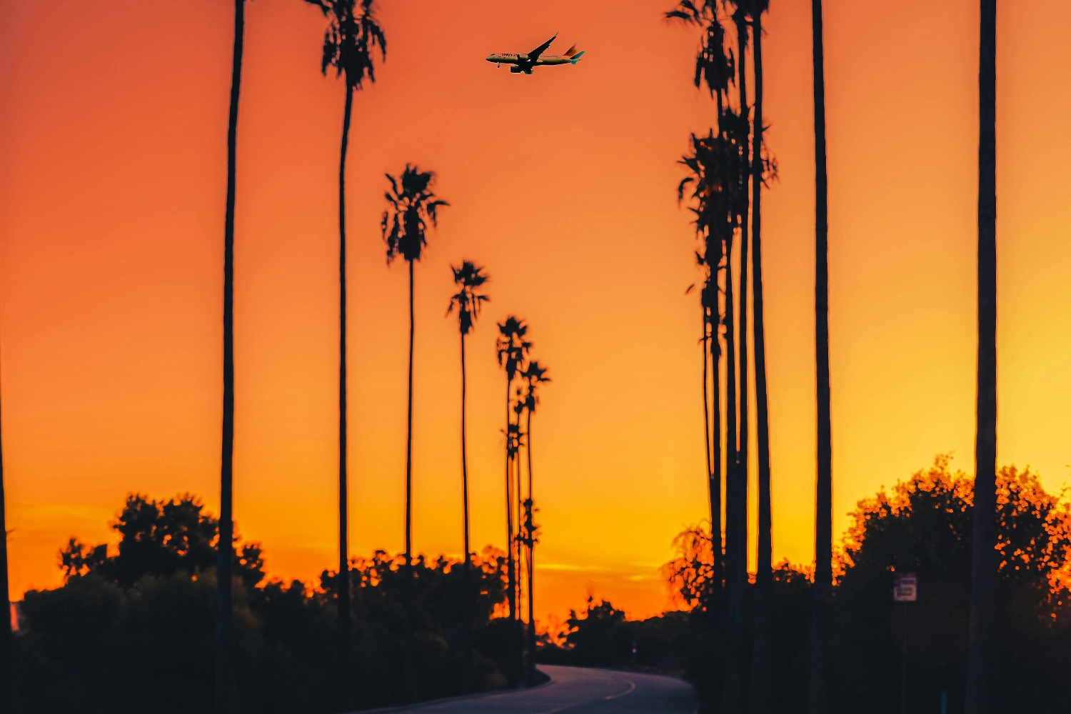 california-sunset-palmtrees-us-103024.jpg