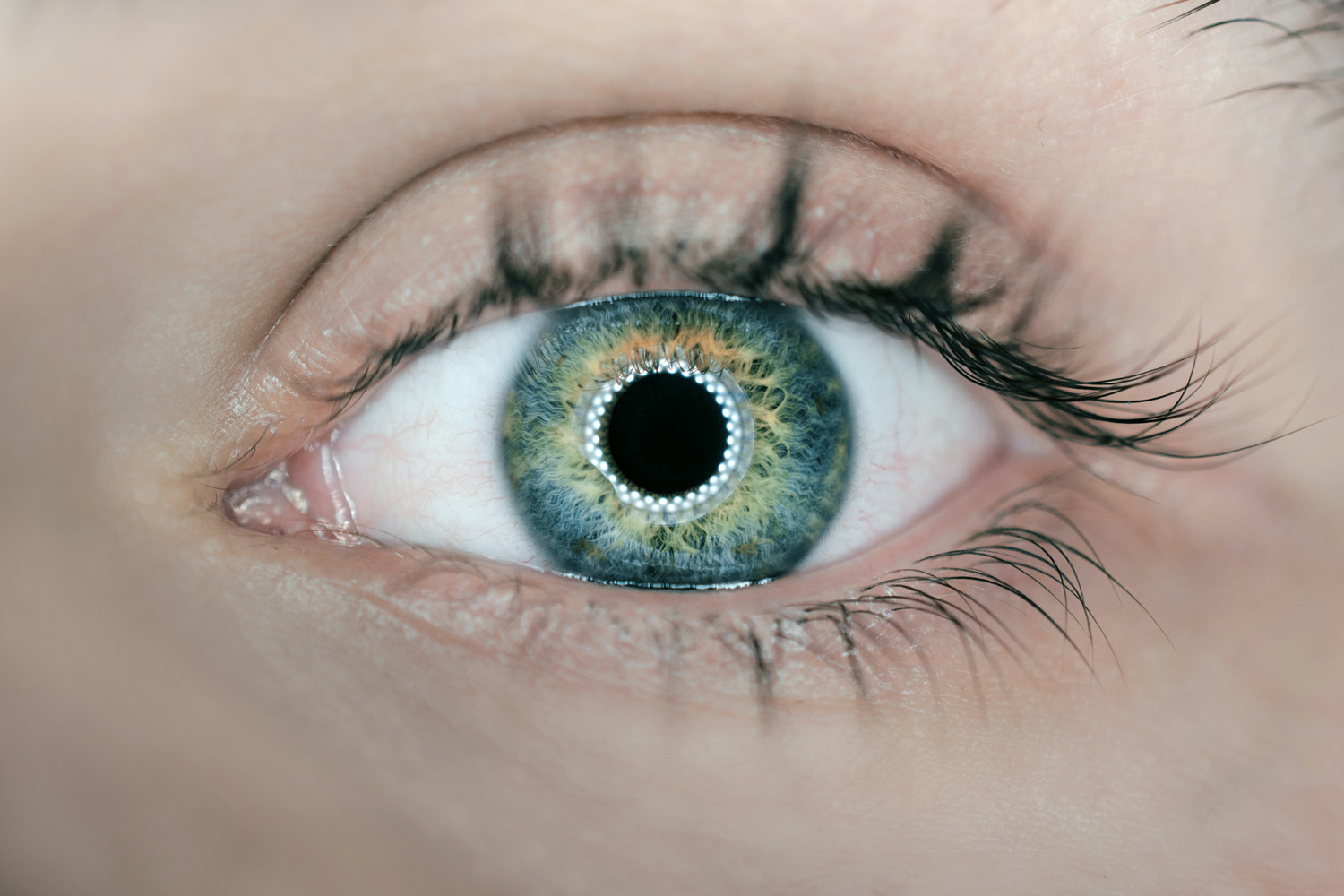 eye-lights-biometrics-0001.jpg